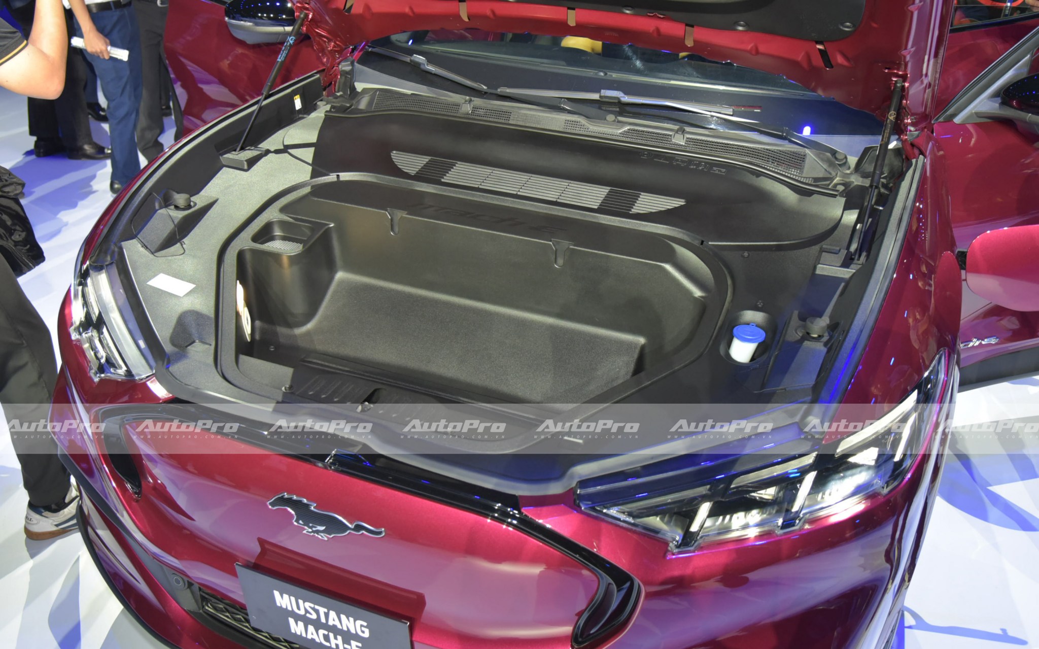 mustang mach e nlh7638