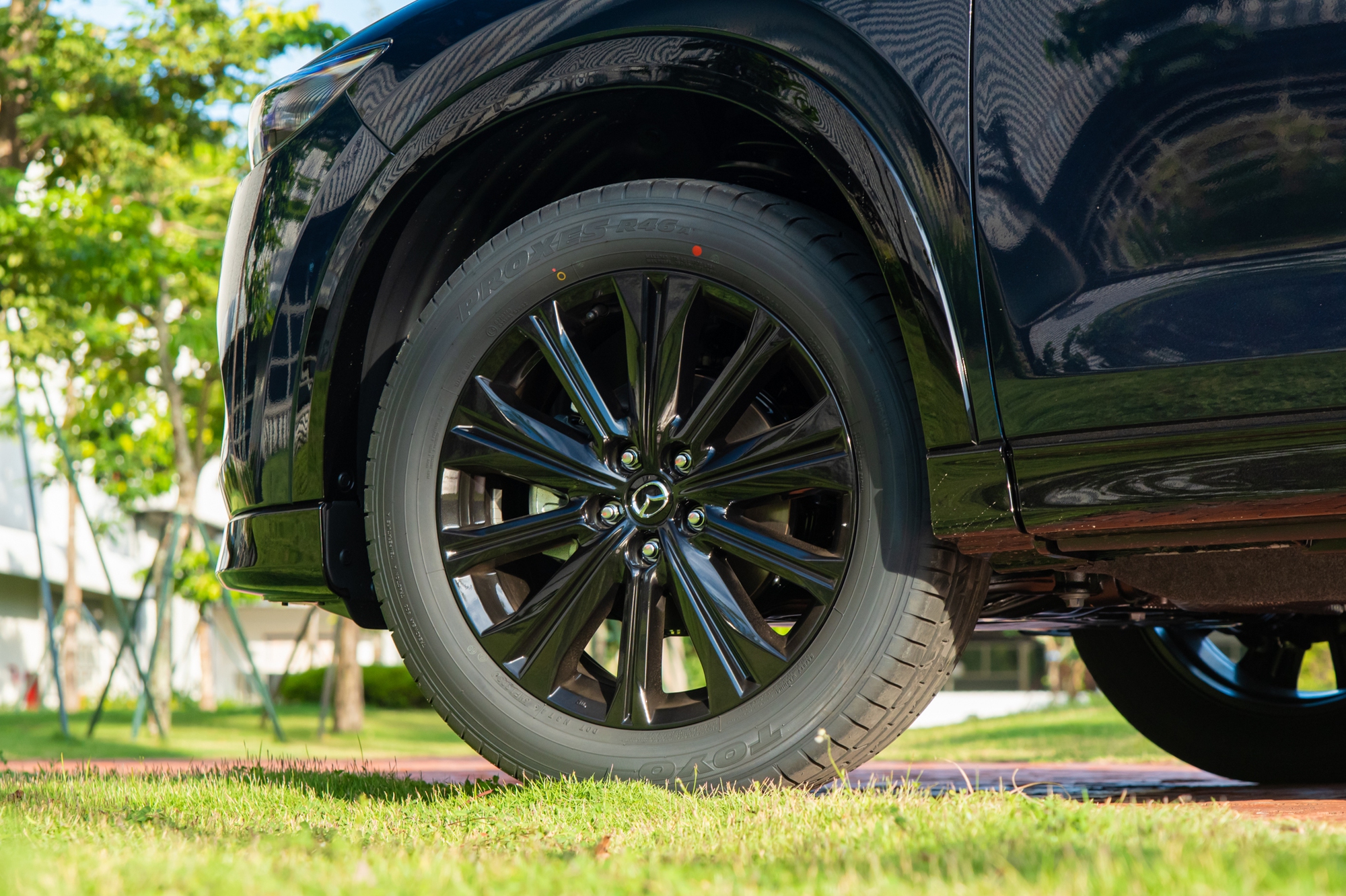 nlh1478 168878221115353250488