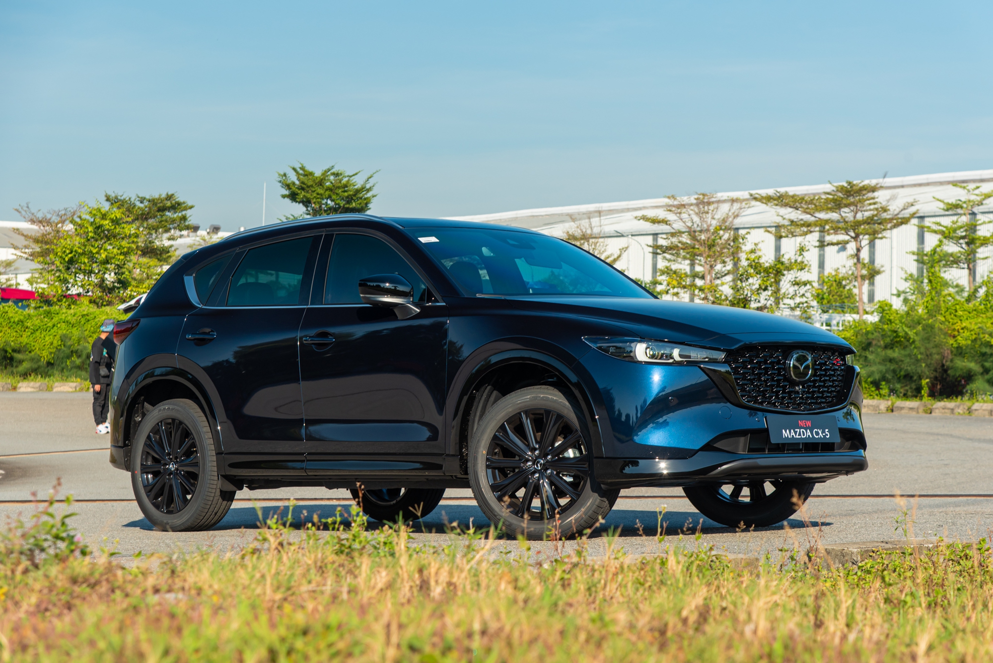 nlh1844 16887822112271893361533