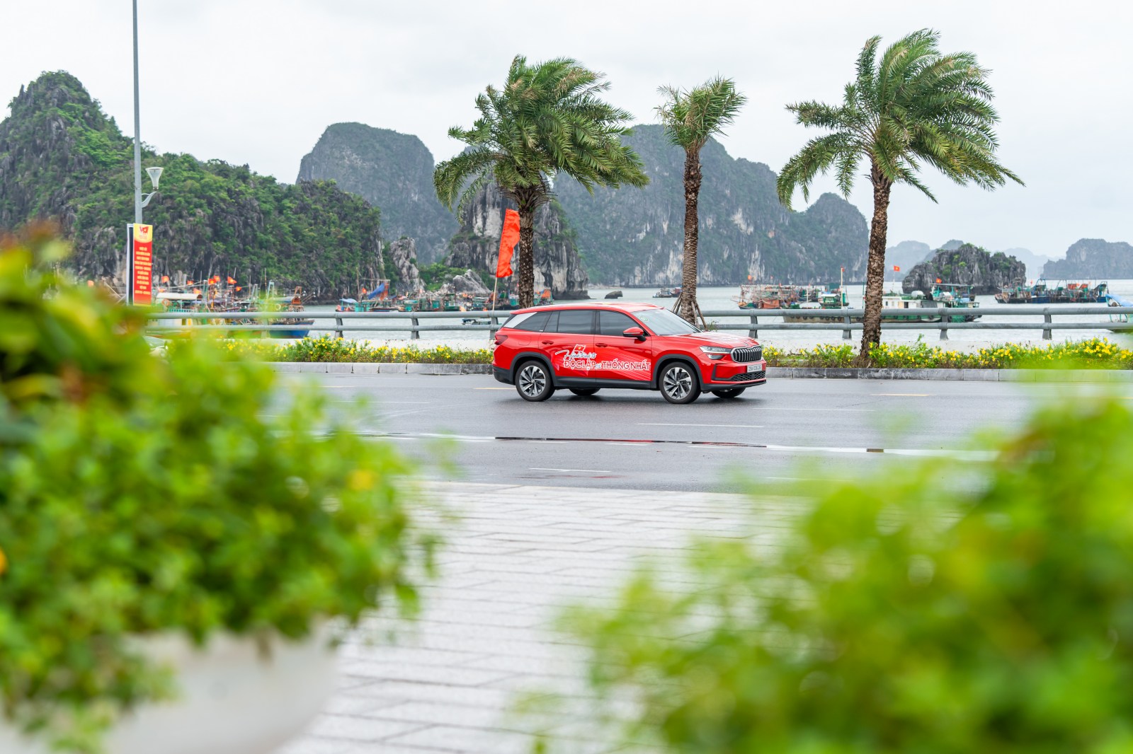 26 8 skoda tun017351