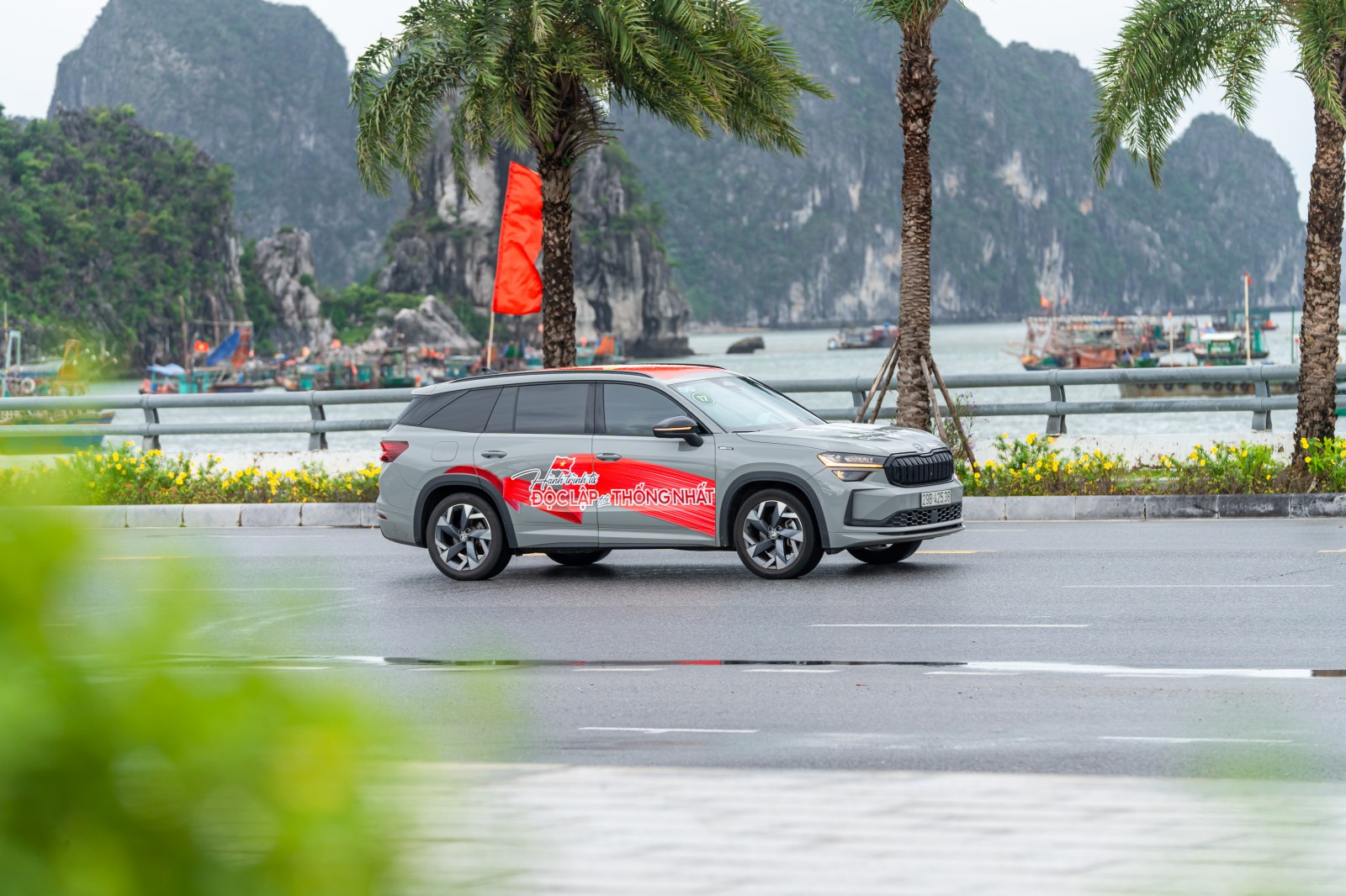 26 8 skoda tun017521