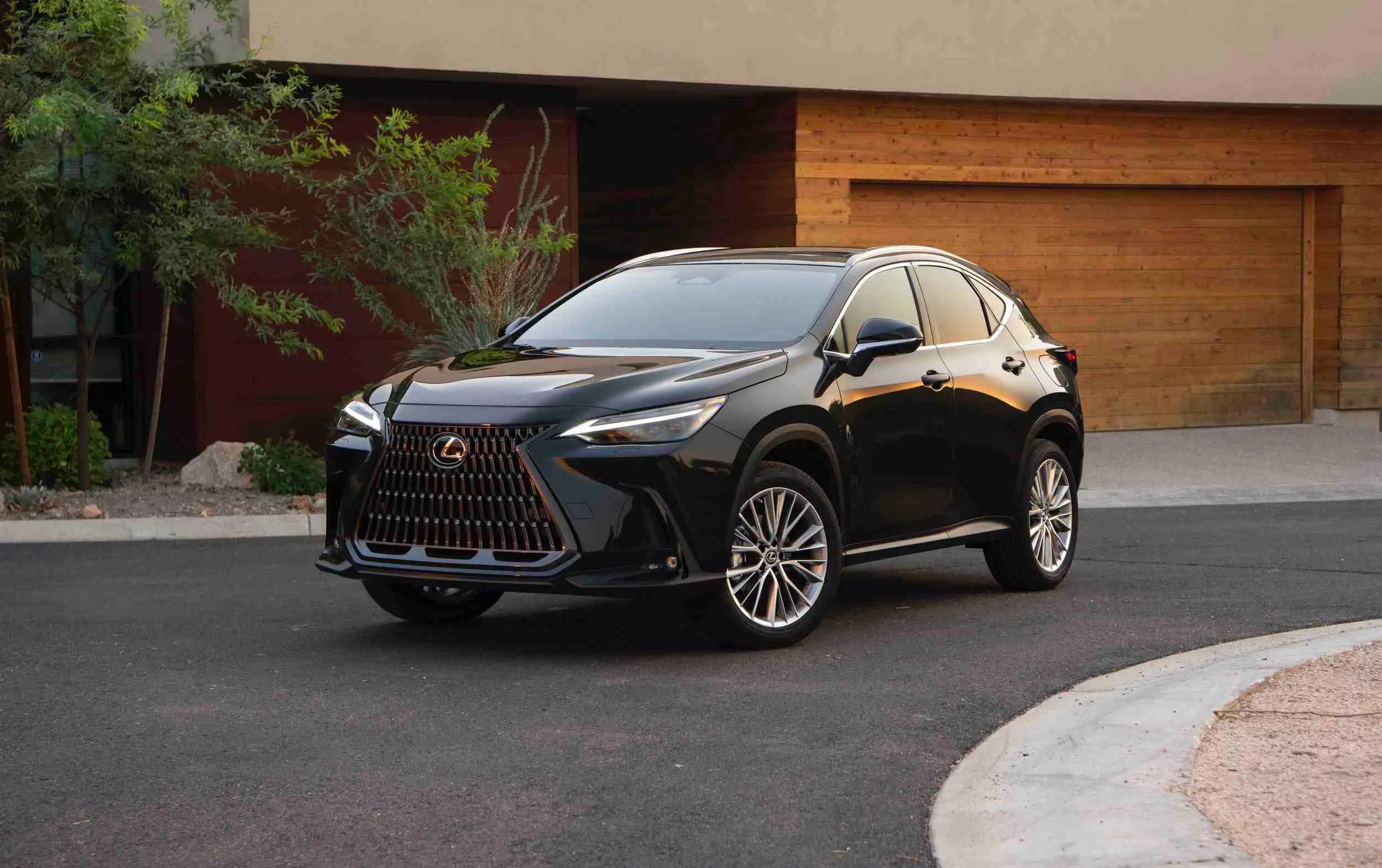 2026 lexus nx 828 4