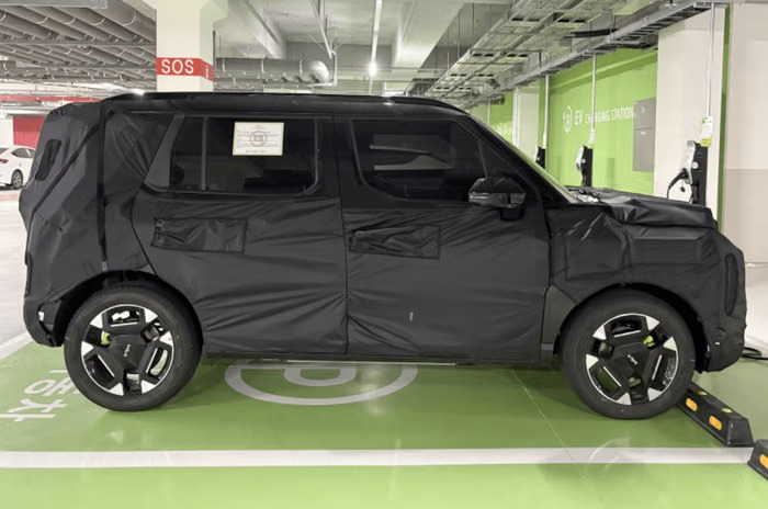 kiasyrosevsideprofile