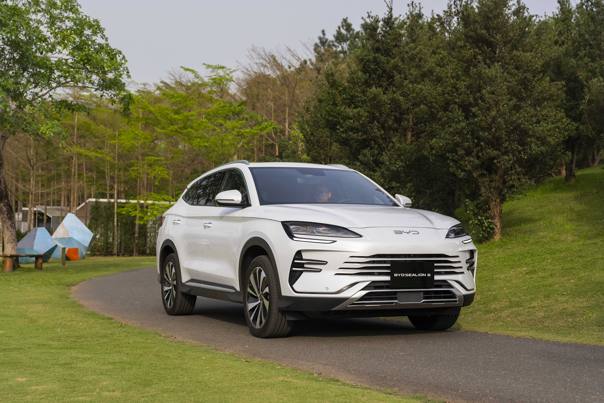 bydsealion6white2 06565115