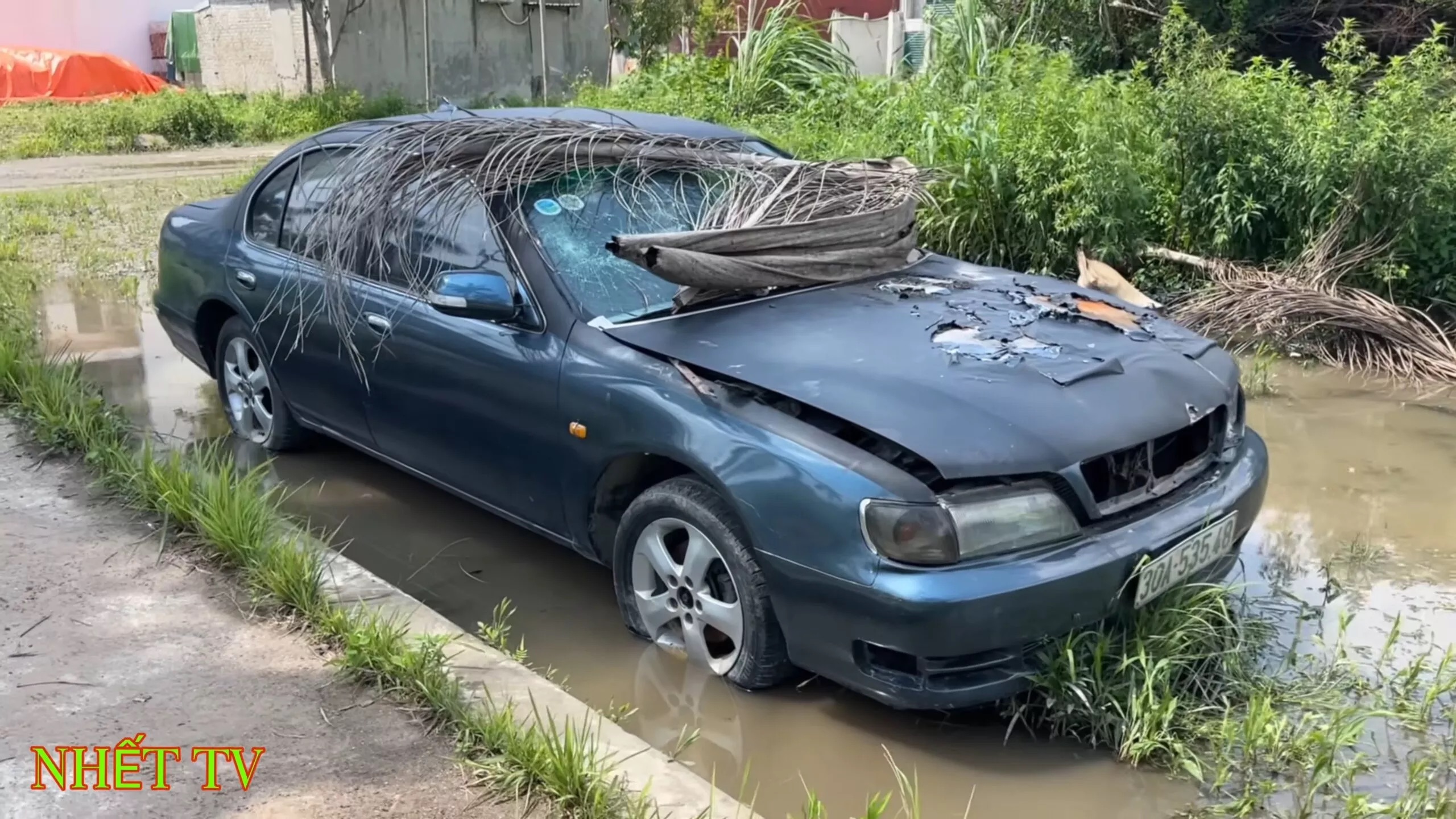 ewrfcdsxfwevc scaled