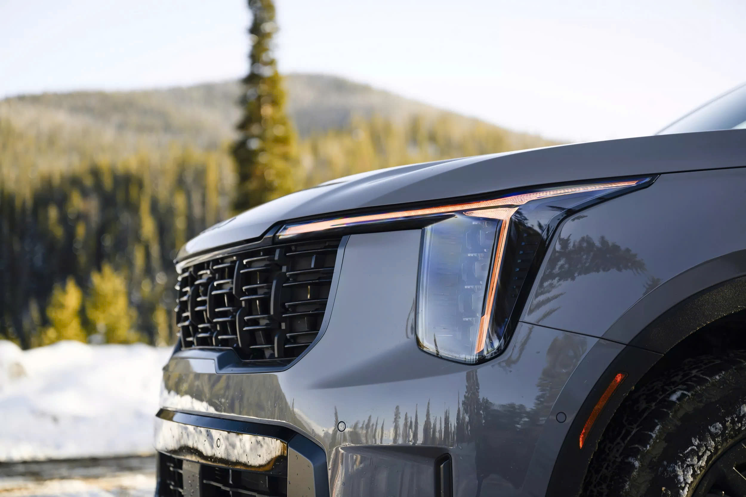 z7047229822880b69462368c9fa7dacc62753f1a284644