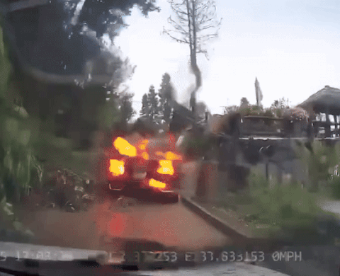 ezgif 3f95f343c66979