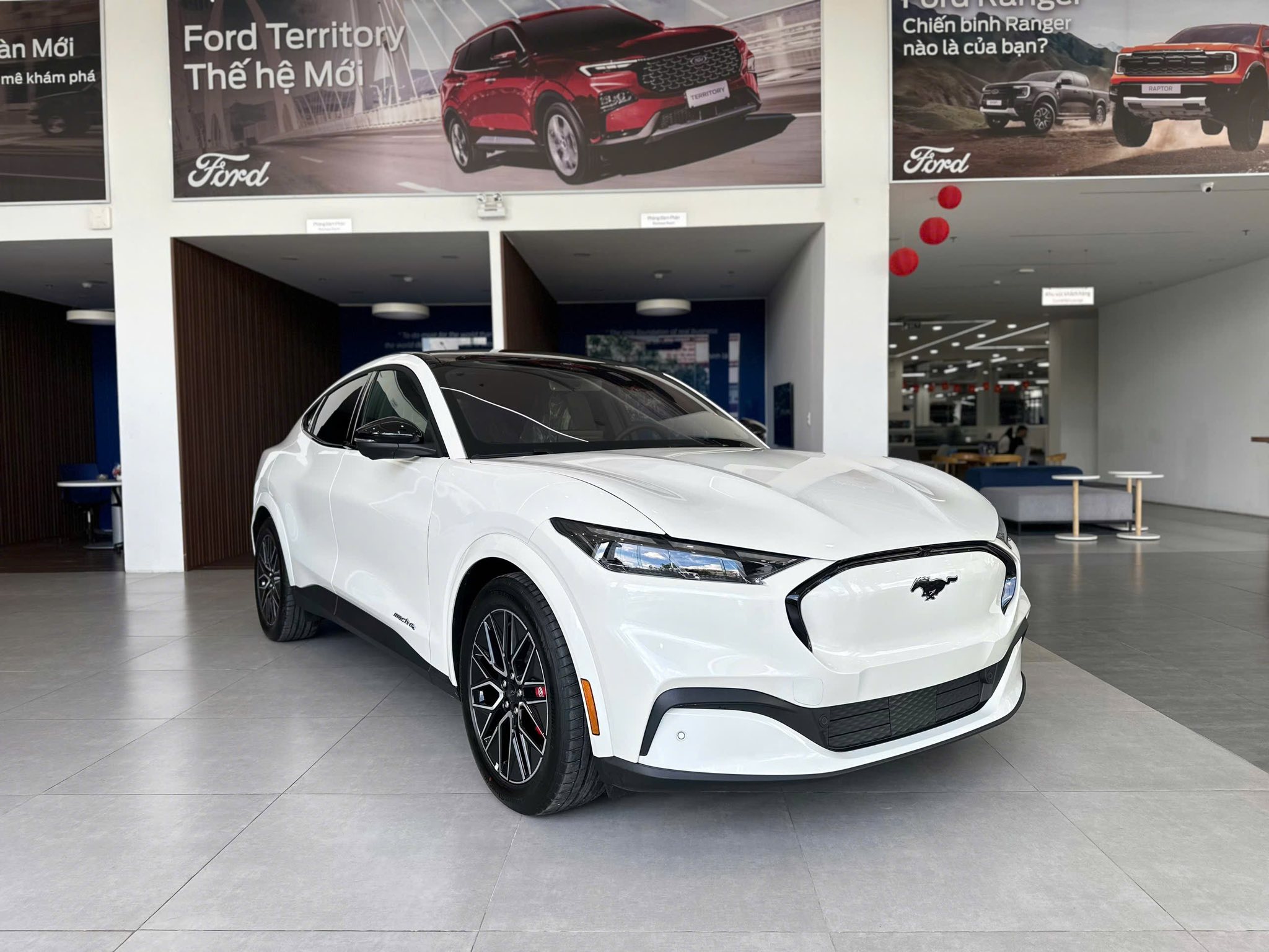 mustang mach e trang