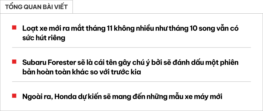 xe ra mat thang 11 web