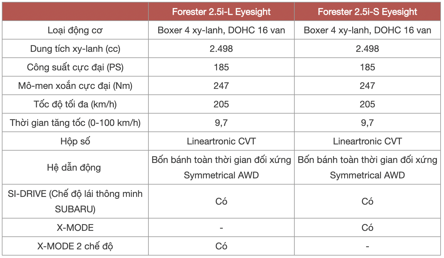 anh chup man hinh 2025 11 12 luc 204039