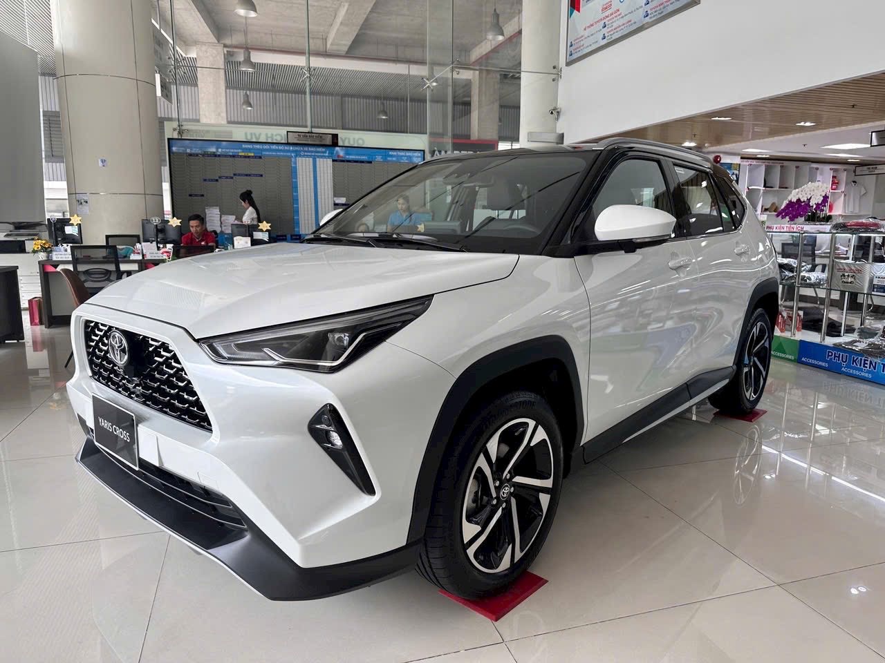 513755110224410661603458295100107808928721n 1752141573101 17521415733161363557955