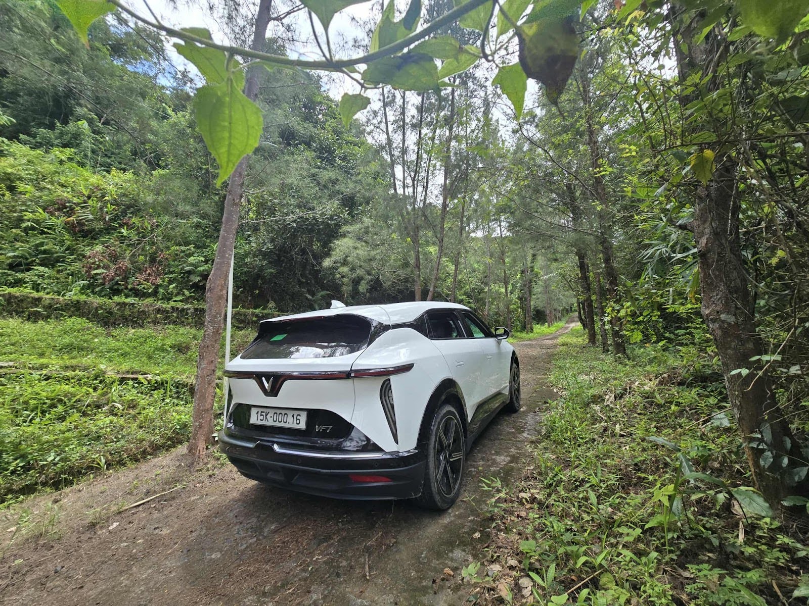 anh nghia chu xe vinfast 4