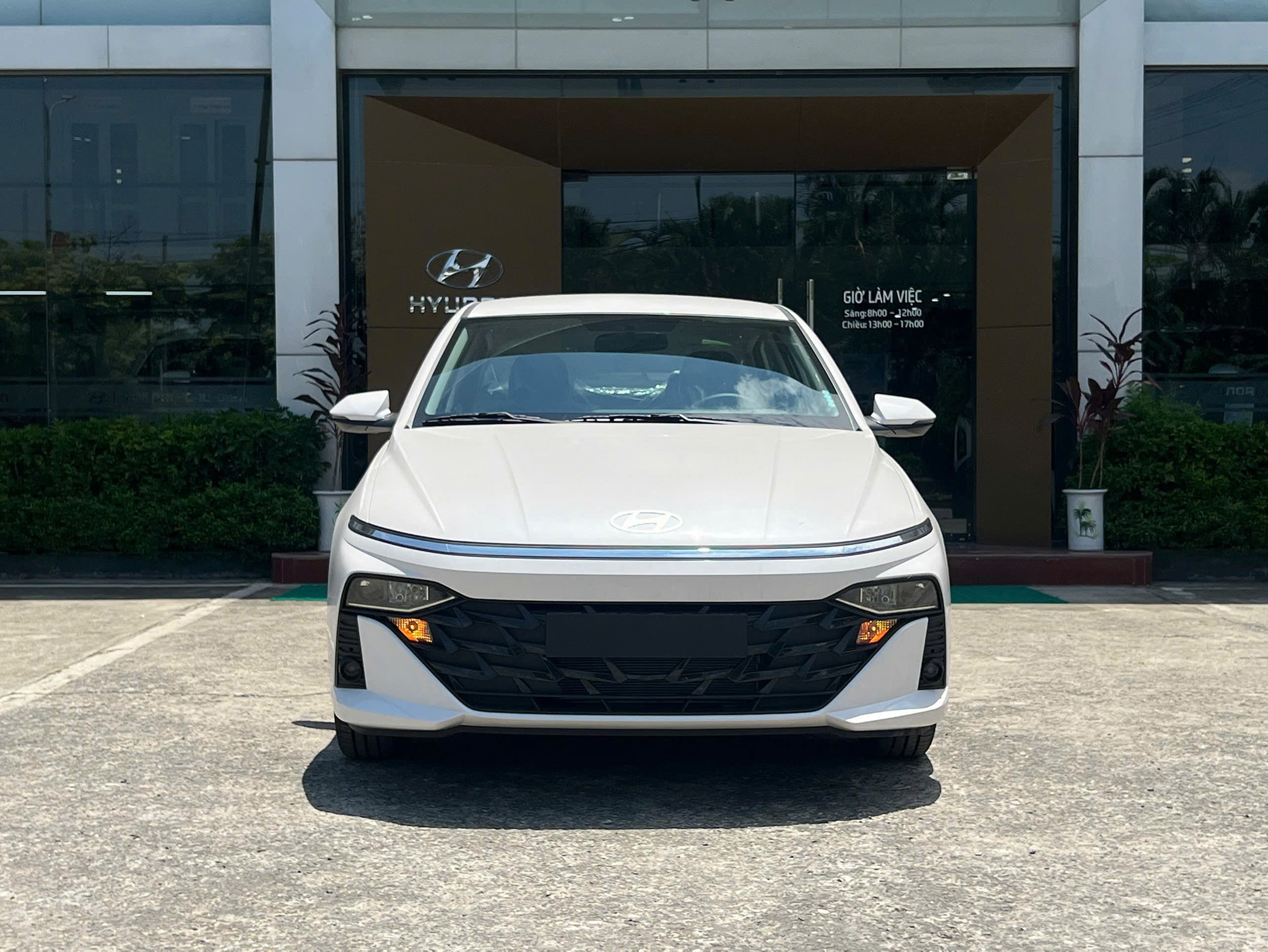 5891918531221024530731336348221585743822834884n