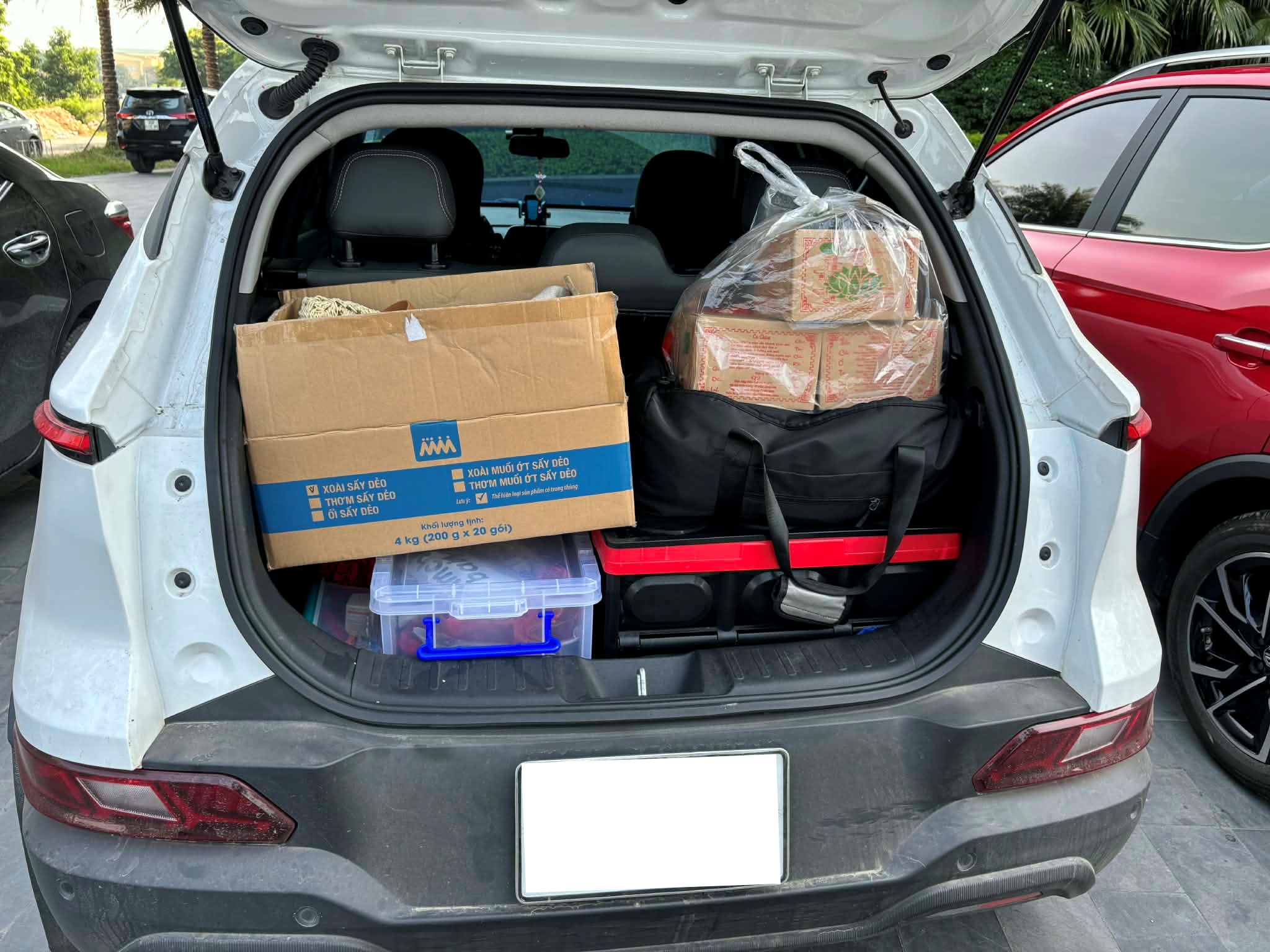 nguyen the anh vinfast vf 5 plus 3