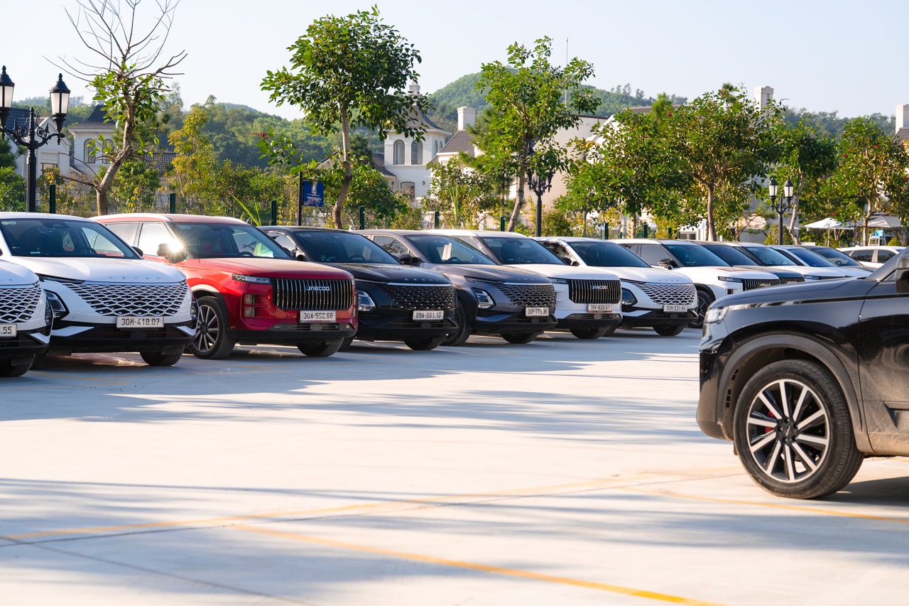 jst04643 opq3011959217 large