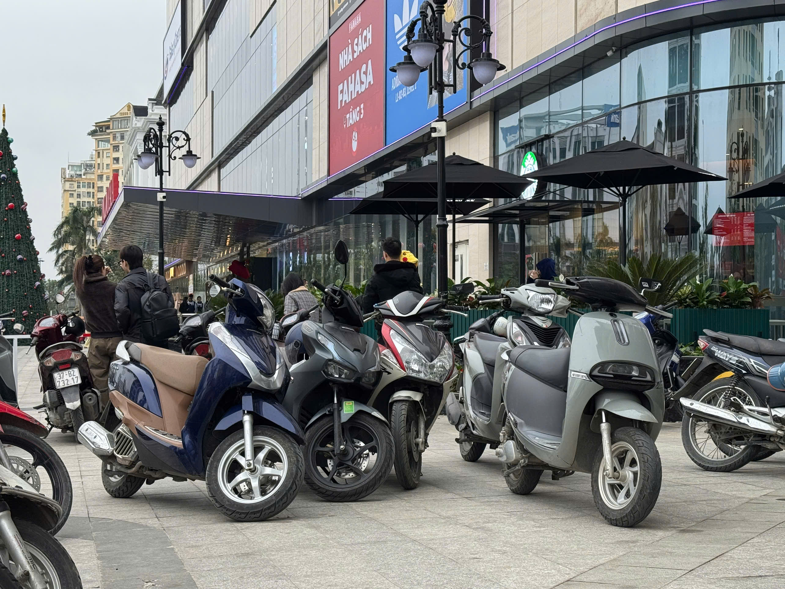 z736443980392617cea2ea8bd946540f75178aa0c44f9f