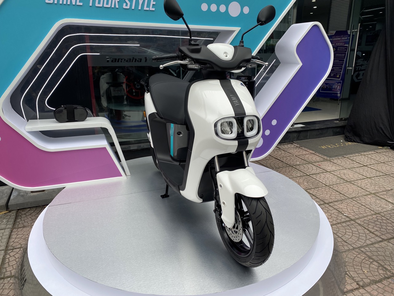 img4623 2 large img4623 2 large