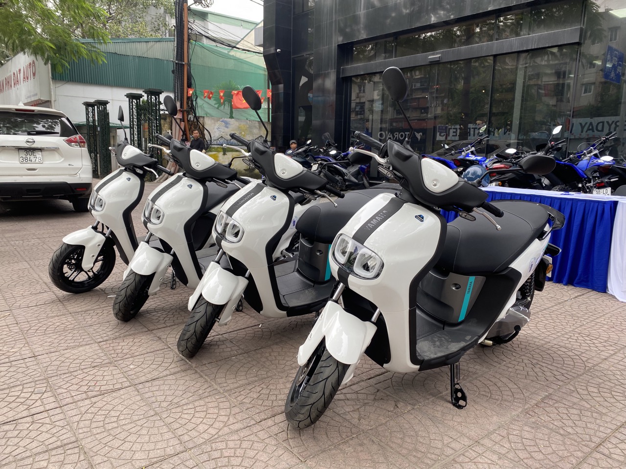 img4645 2 large img4645 2 large