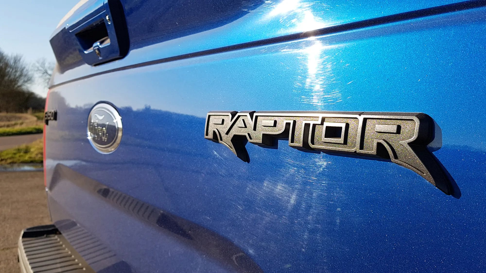 raptor