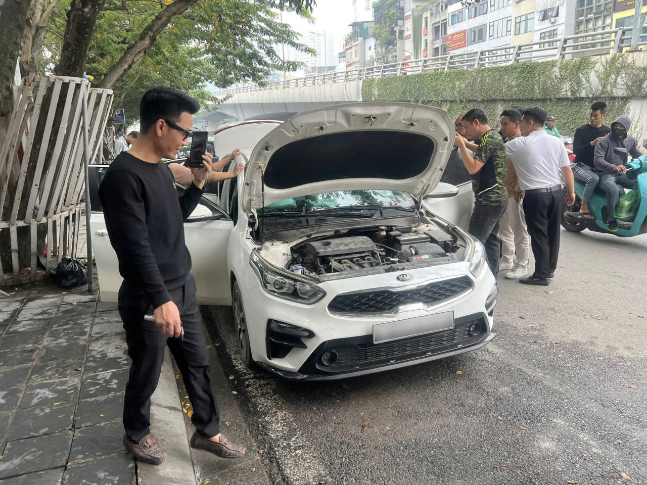 cerato scandal 2 2130