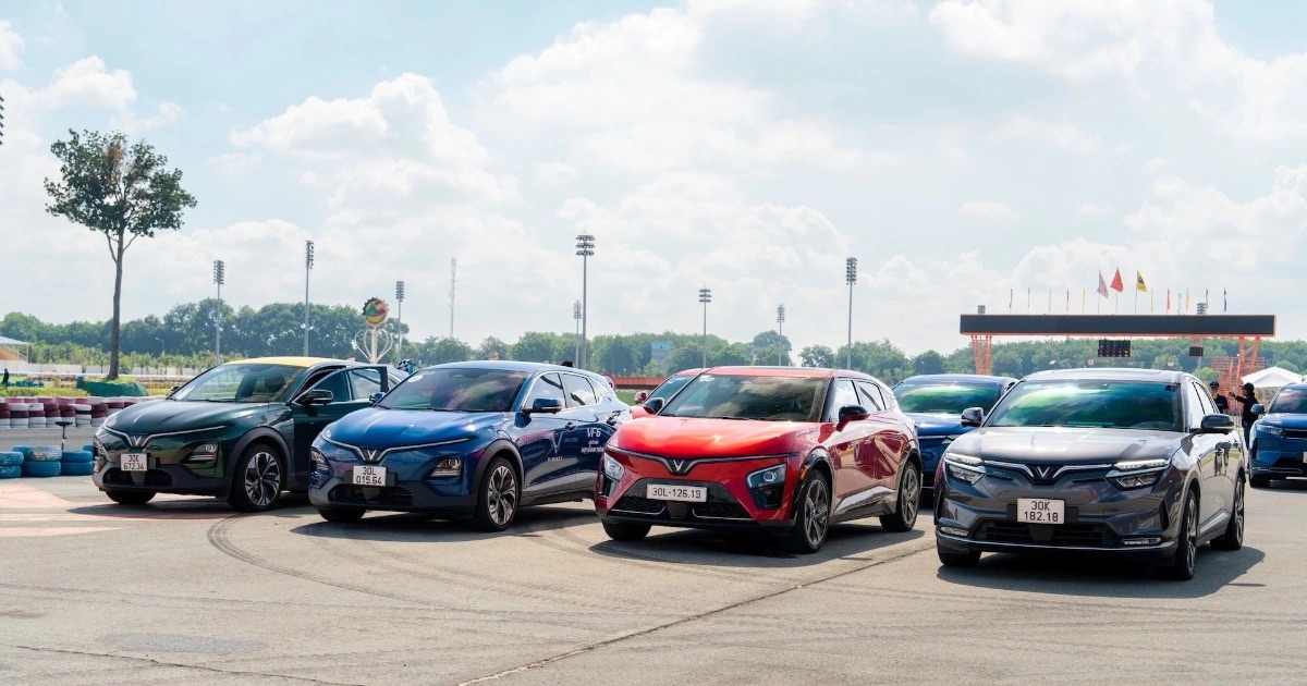 a2 1 crop 1729223272975