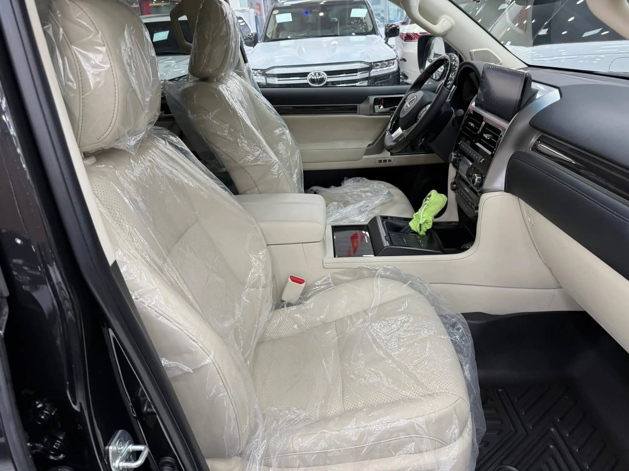 61876043115771972936151985347065350631014325nwebp