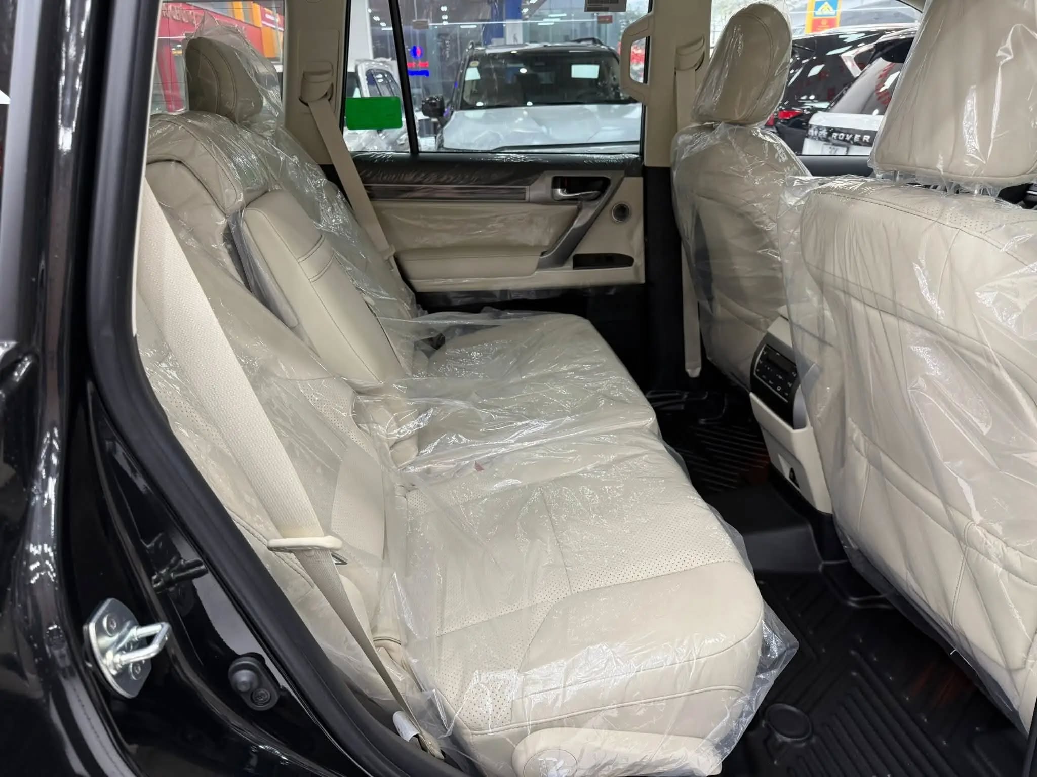 61878648715771974102818533943646827807198845nwebp