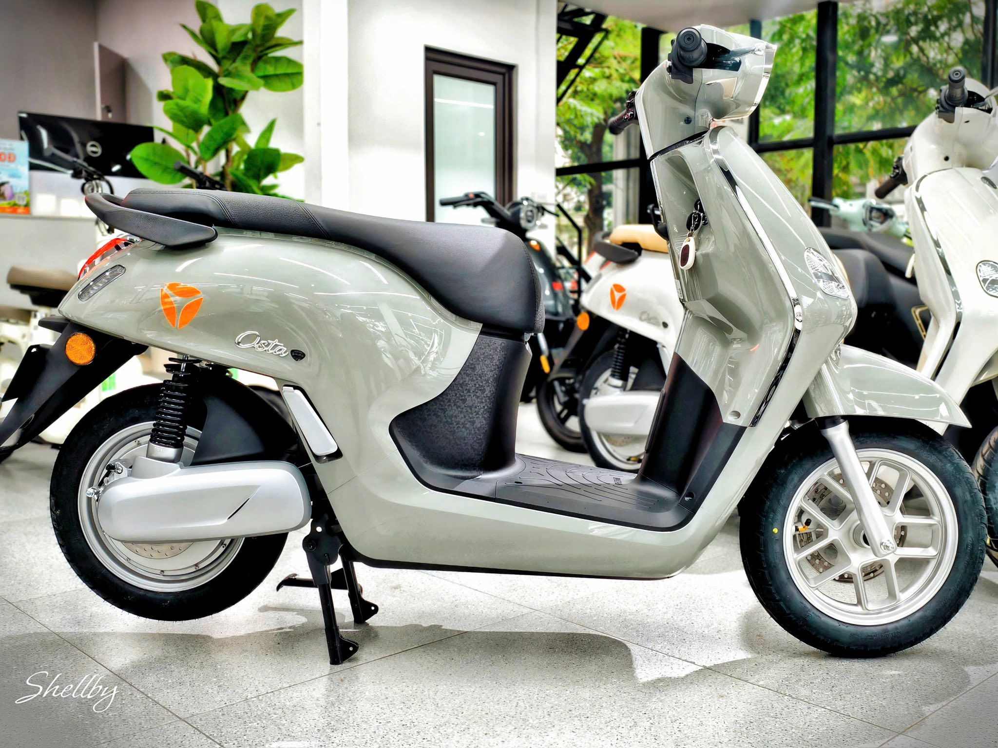 6304726261221468741509719182525393578528992196n