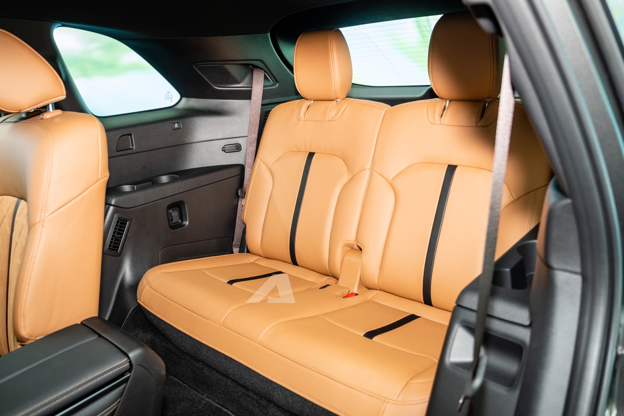 dscf3831 1765438835566 1765438836213218105068 1772180483480 17721804836491120262900