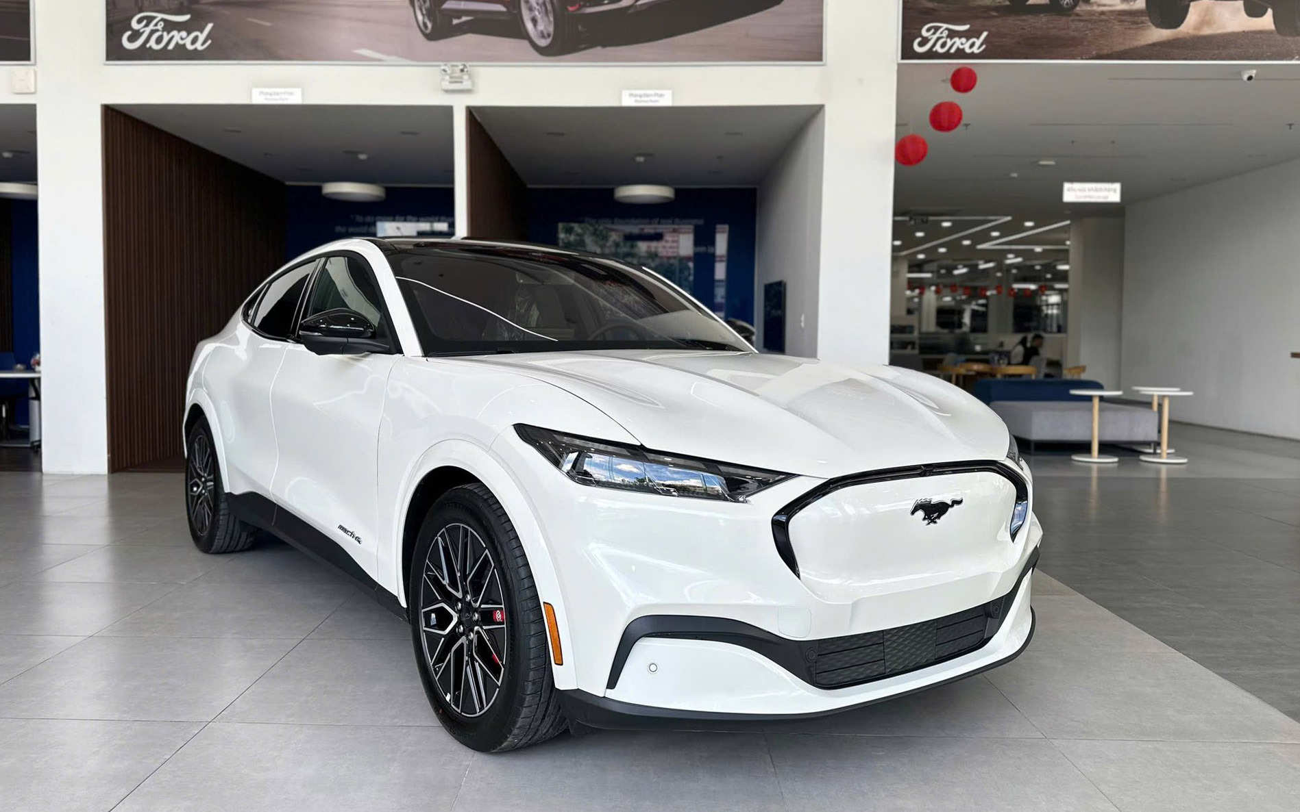 mustang 1 1765848087433 17658480881381532804970