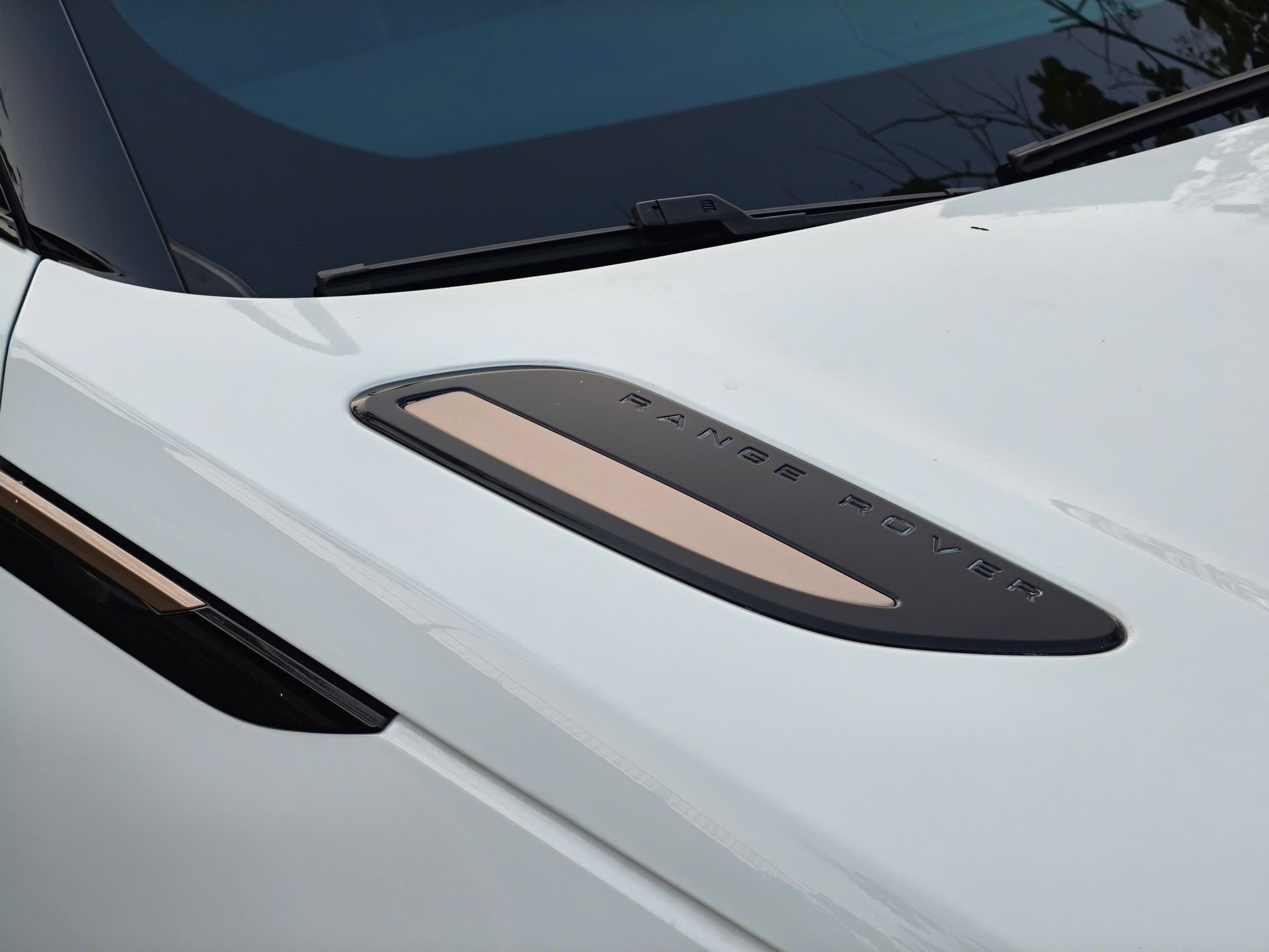 651212839260014032362103928482156606483740403n