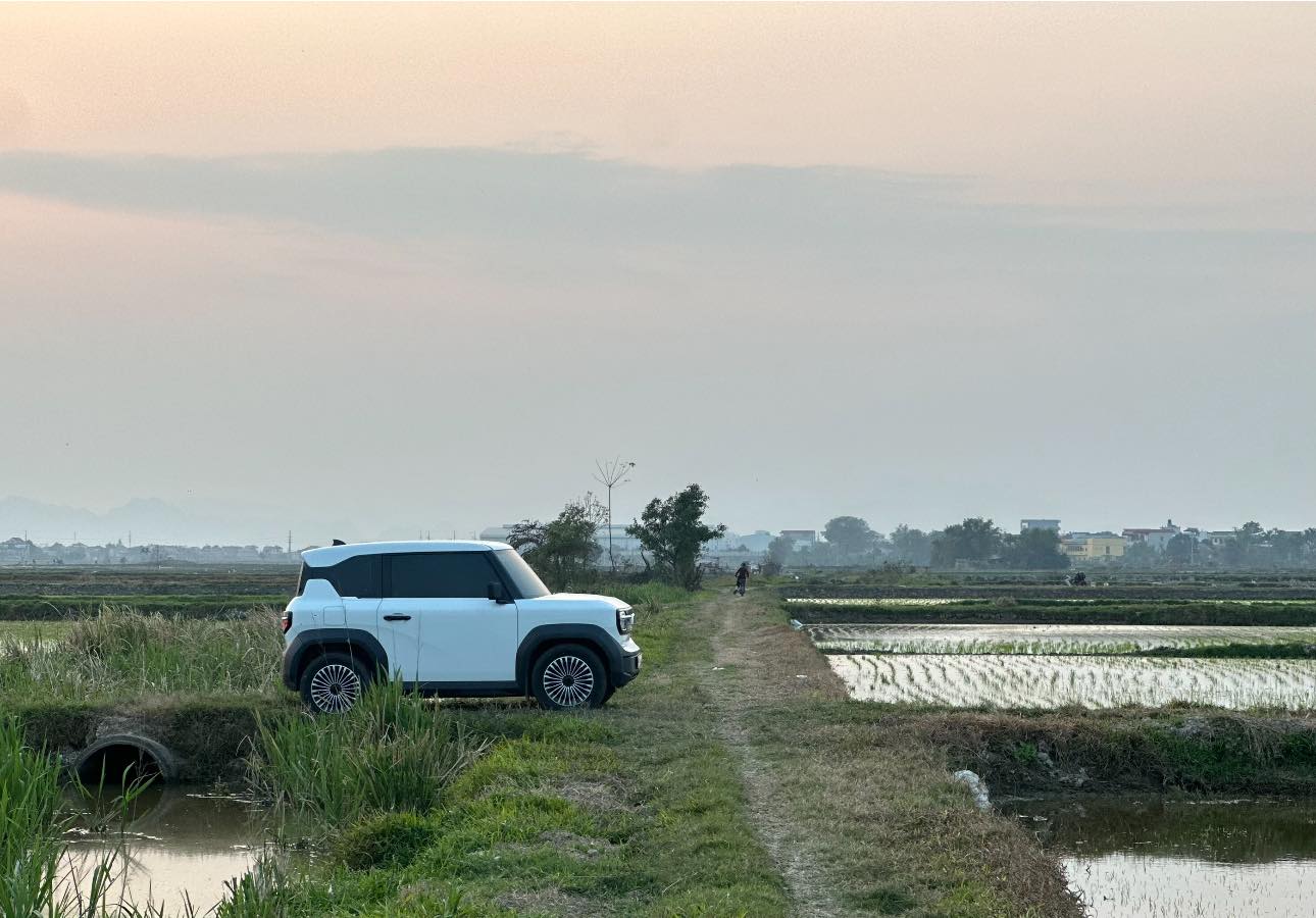 50845603833933589274807945037025834190005124n