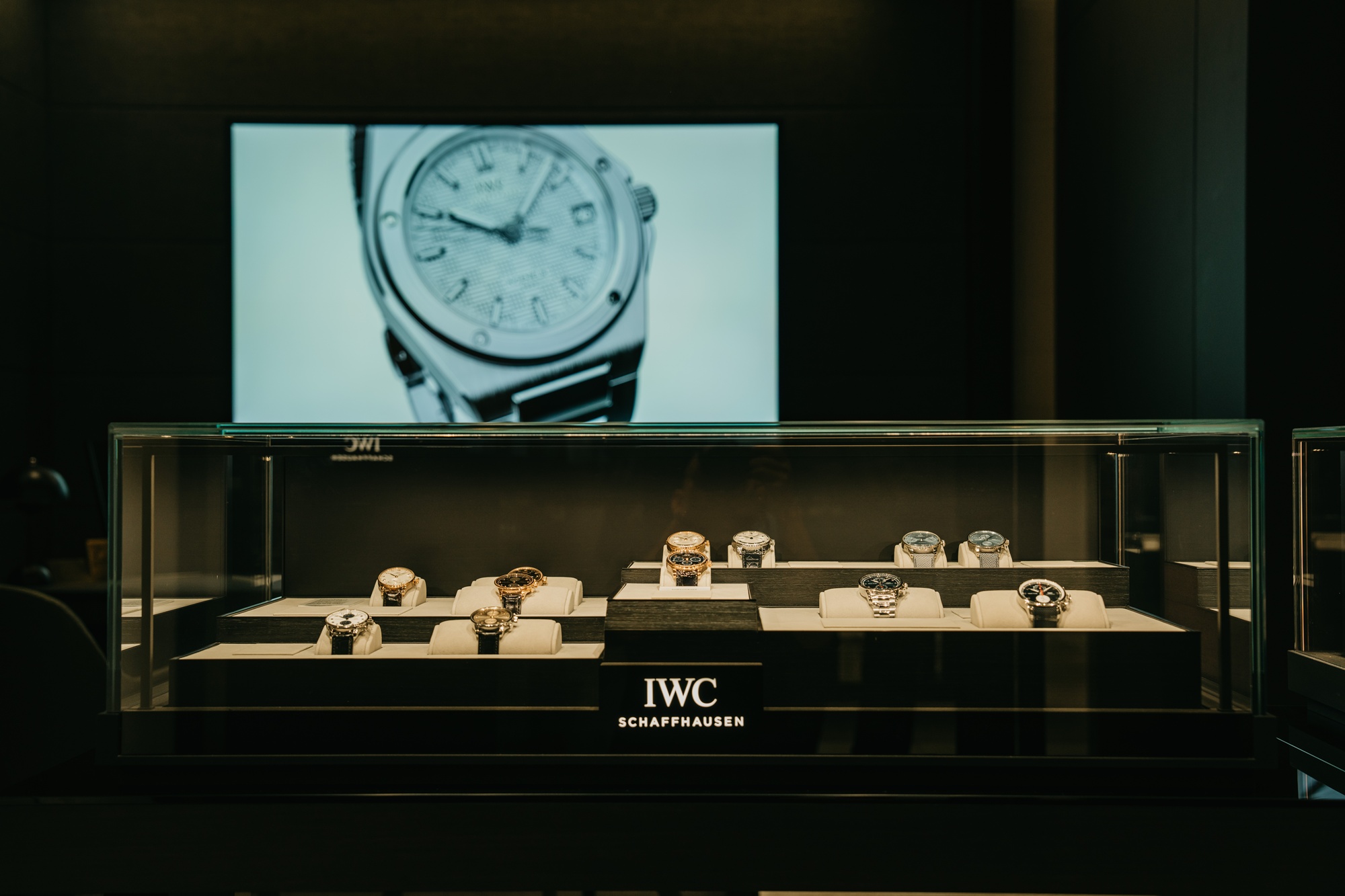 dong ho iwc schaffhausen 13