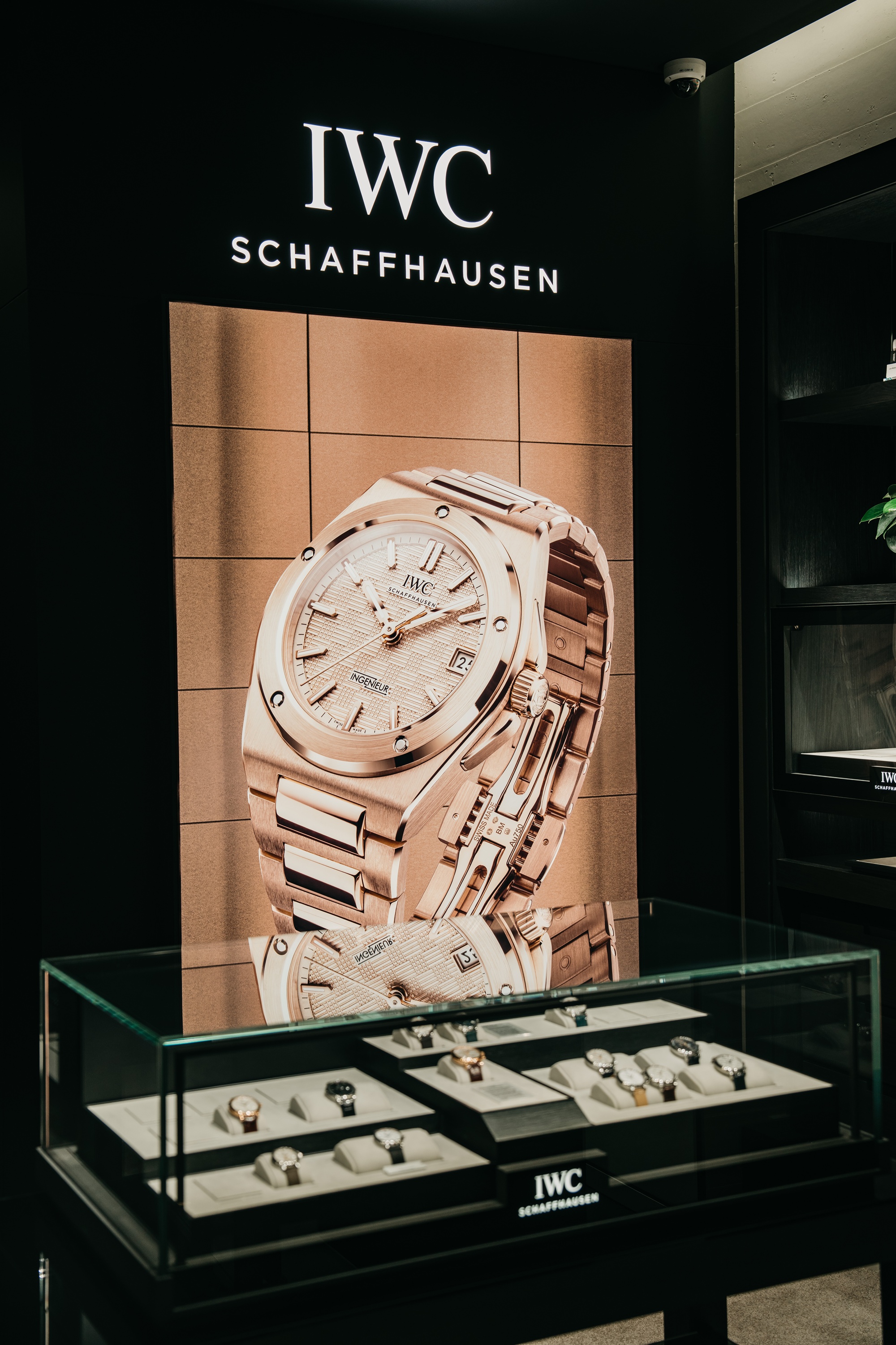 dong ho iwc schaffhausen 14