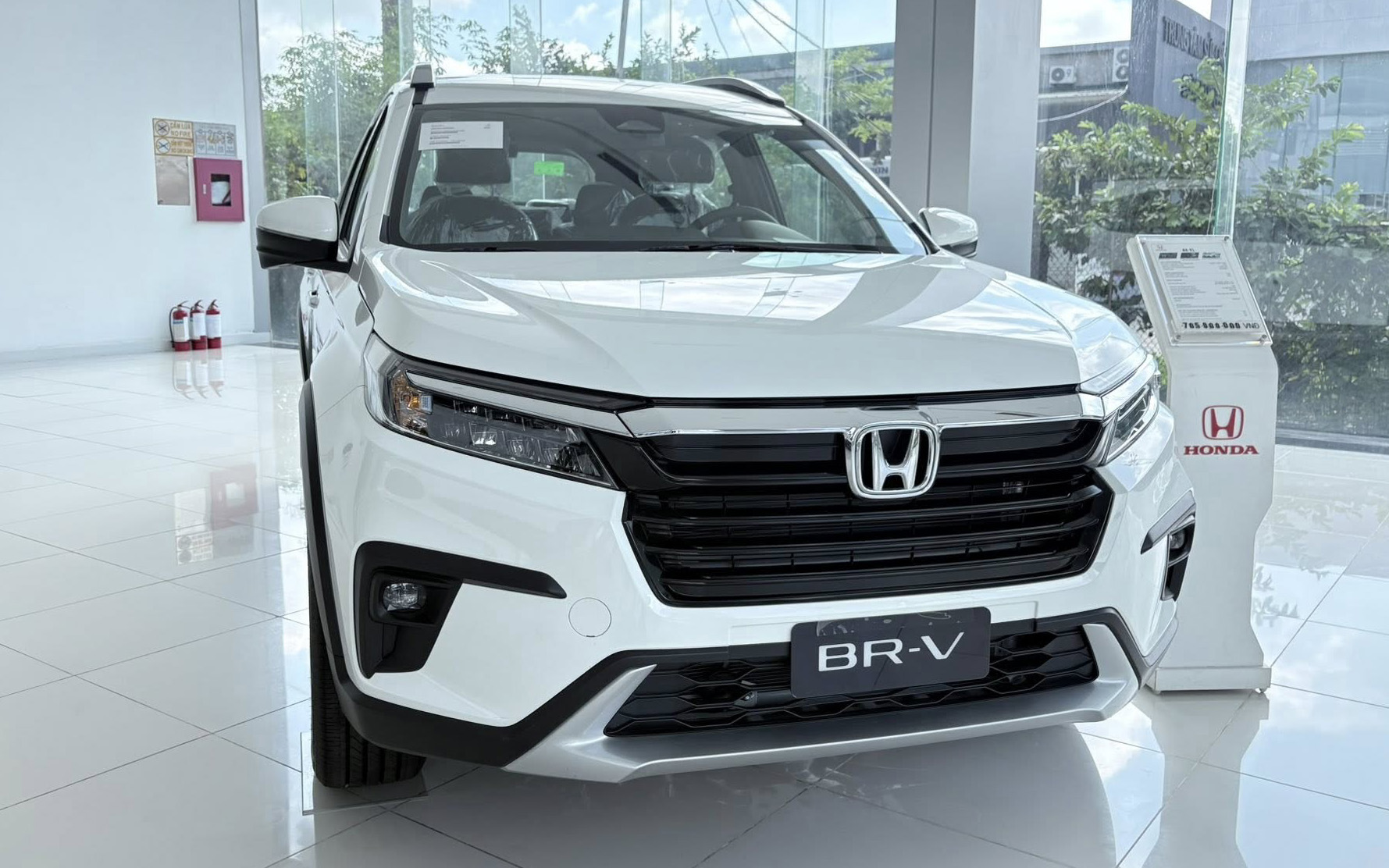brv1