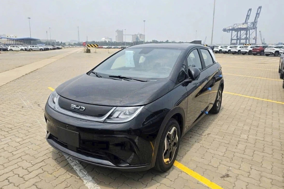 byd1