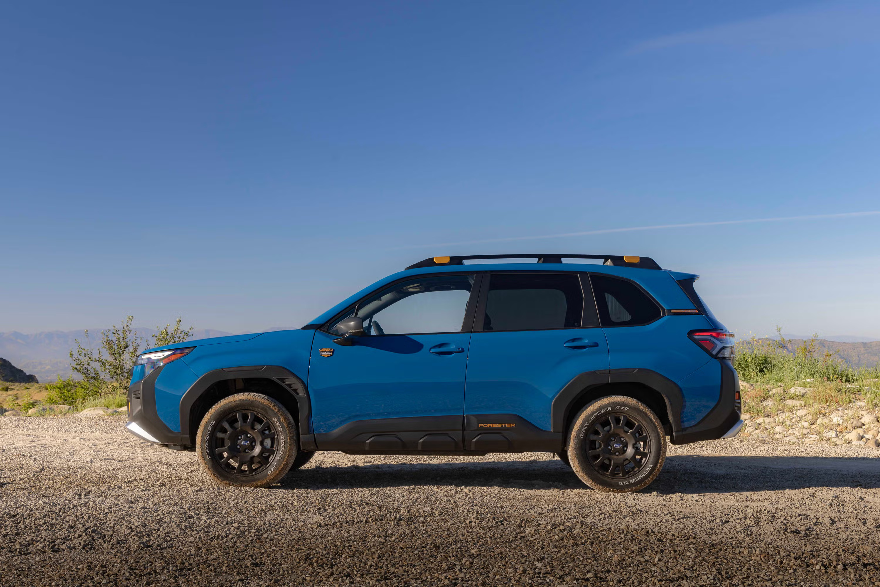 ca460e76 2d94 43c9 9a3f 37020a013596