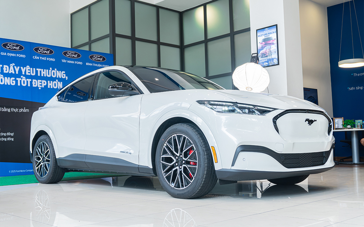 ford mustang mach e 6