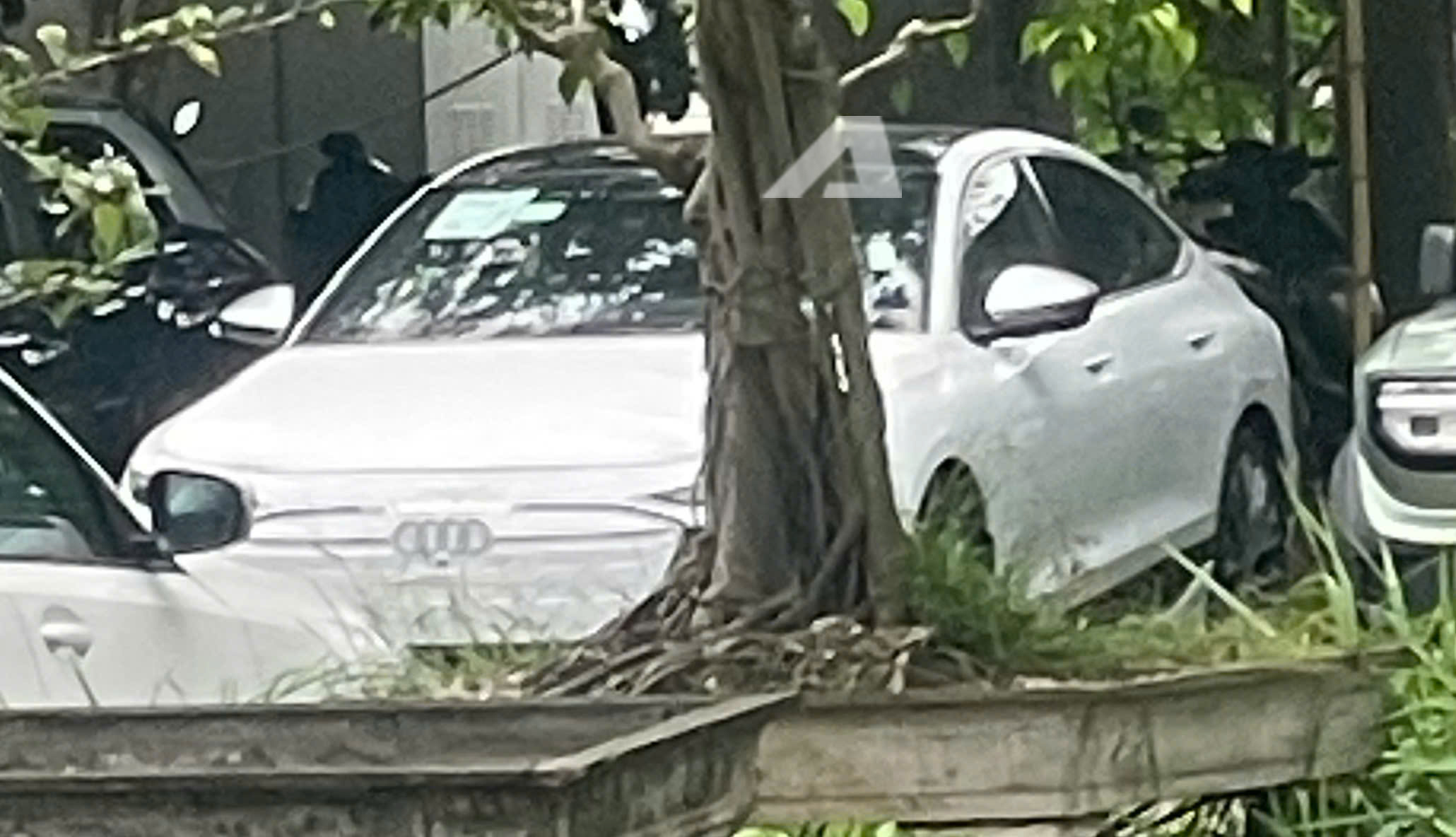 z76908518533751cdec2a271c67ef65fc11bdb600e29bf