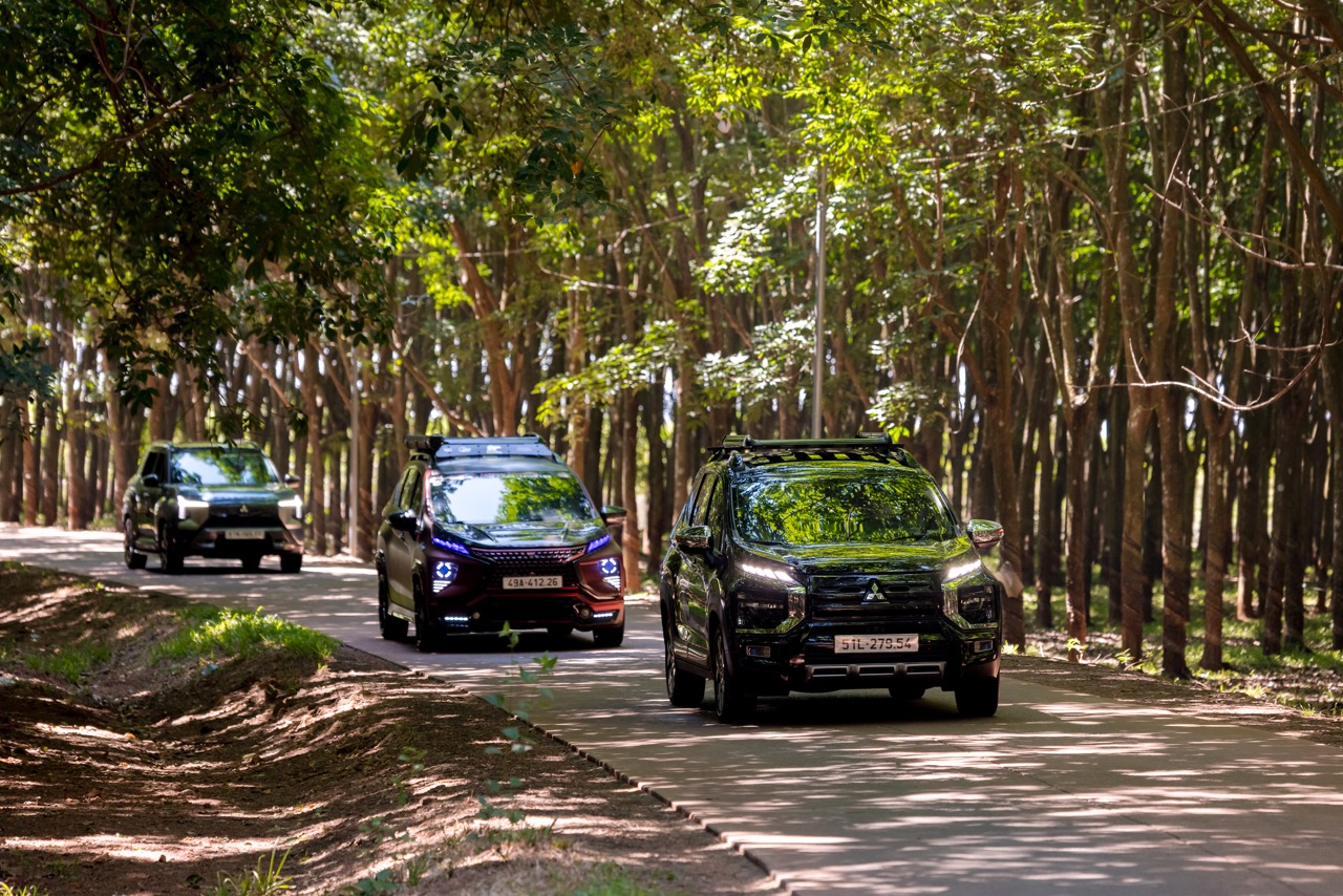 thongmedia6021 large