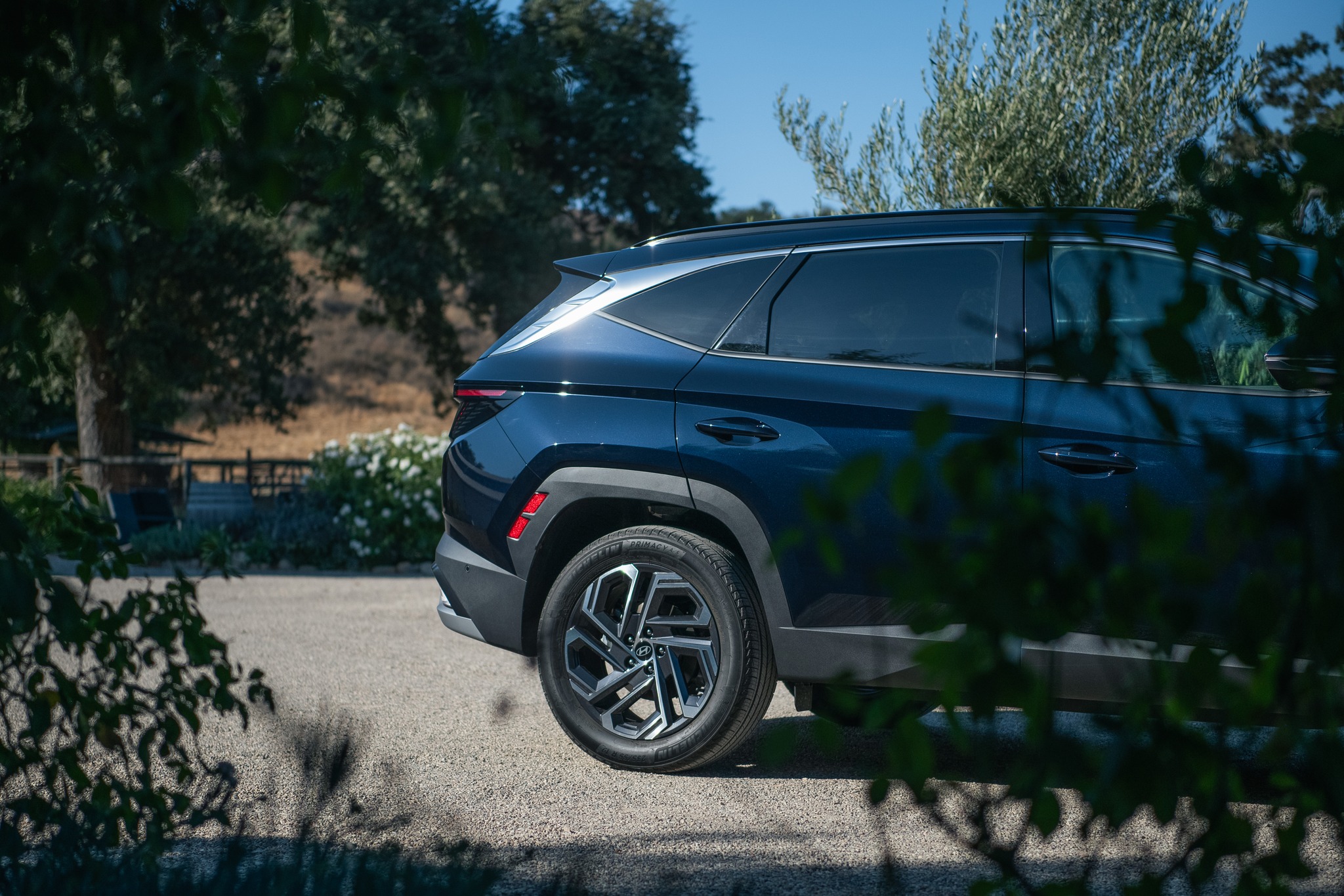 64681776413941190760608332271562822815968711n