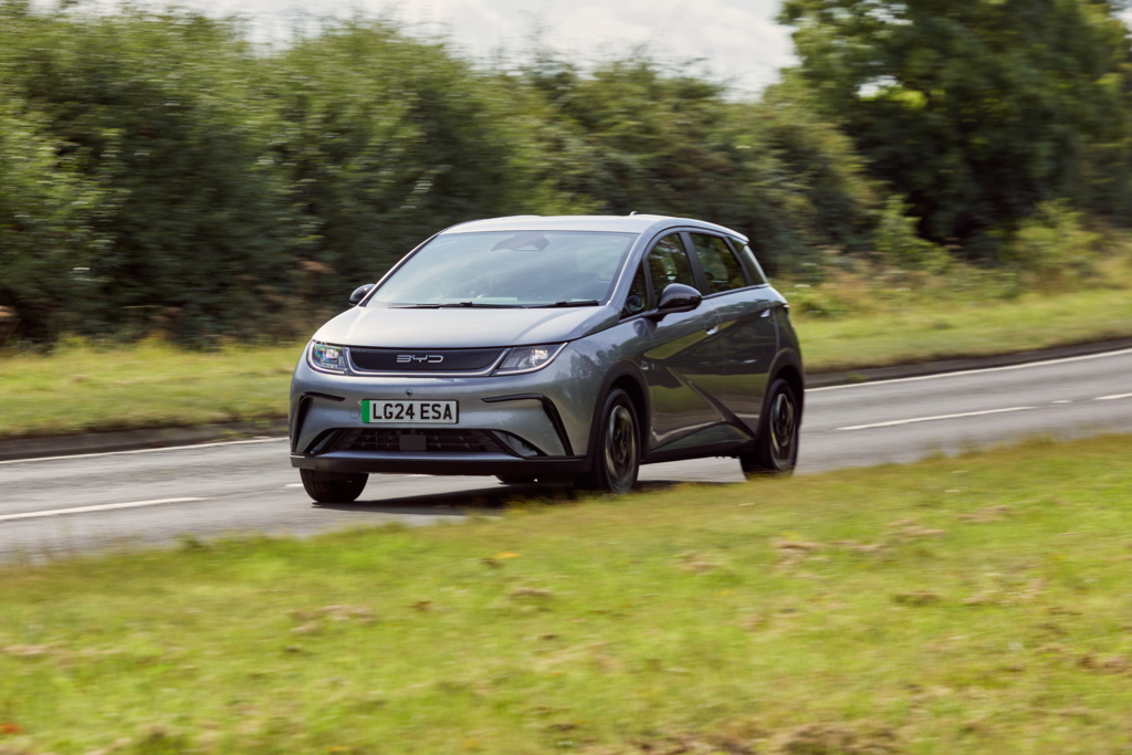 280824byddolphinactive1