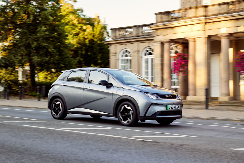 280824byddolphinactive11