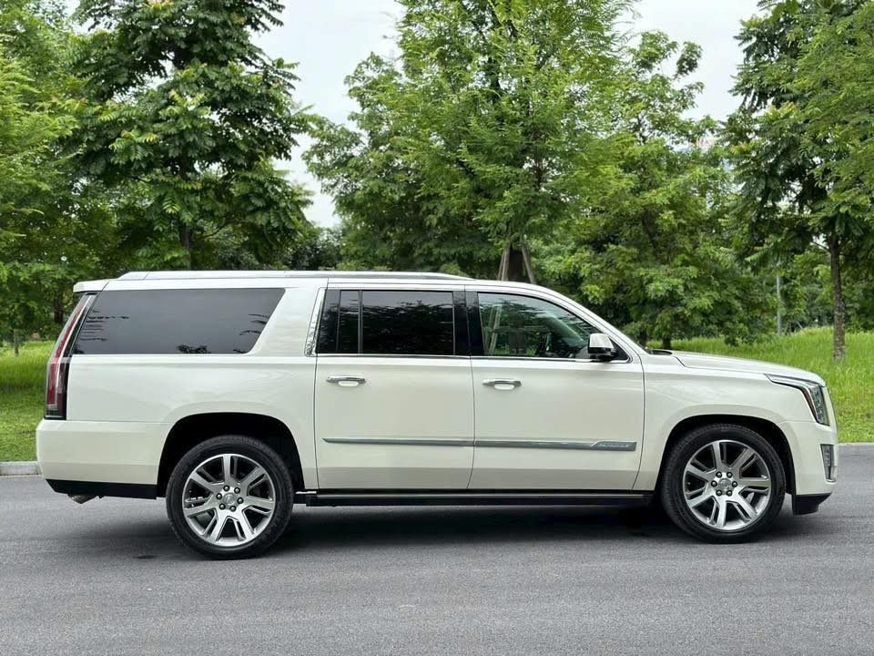 68369647615419415973856523816471924982547417n