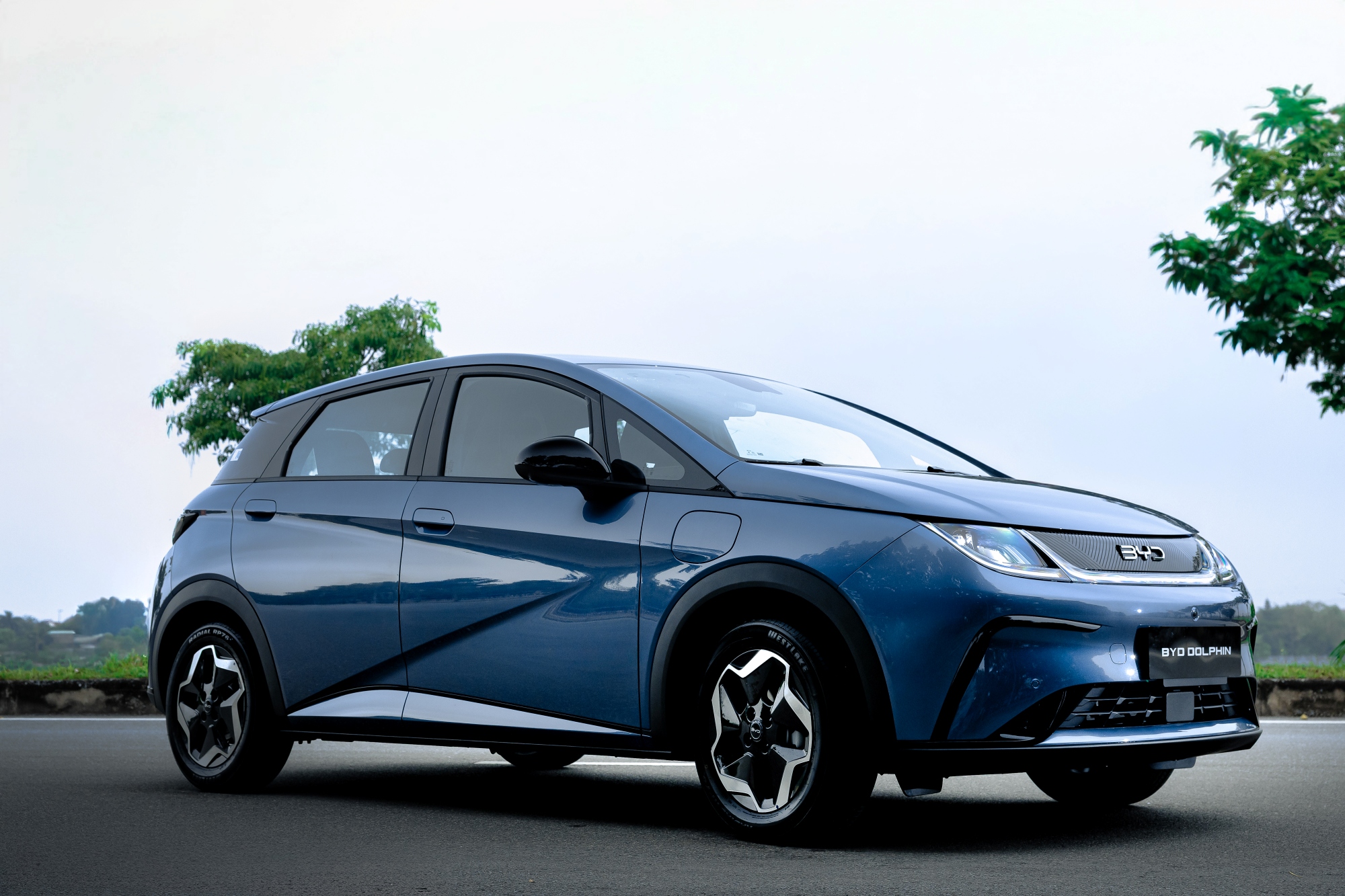 byd dolphin 2026ngoai that1