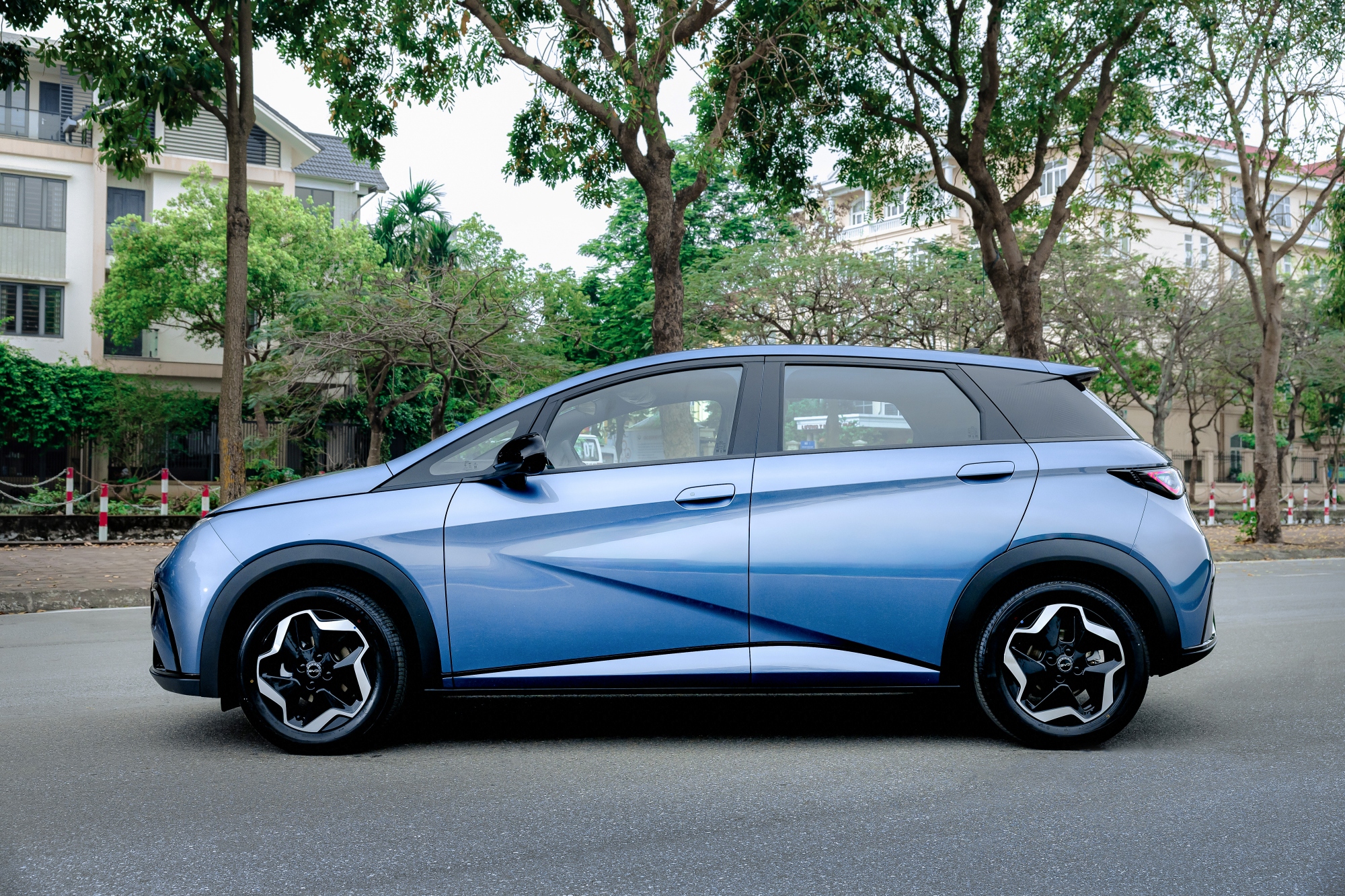 byd dolphin 2026ngoai that3