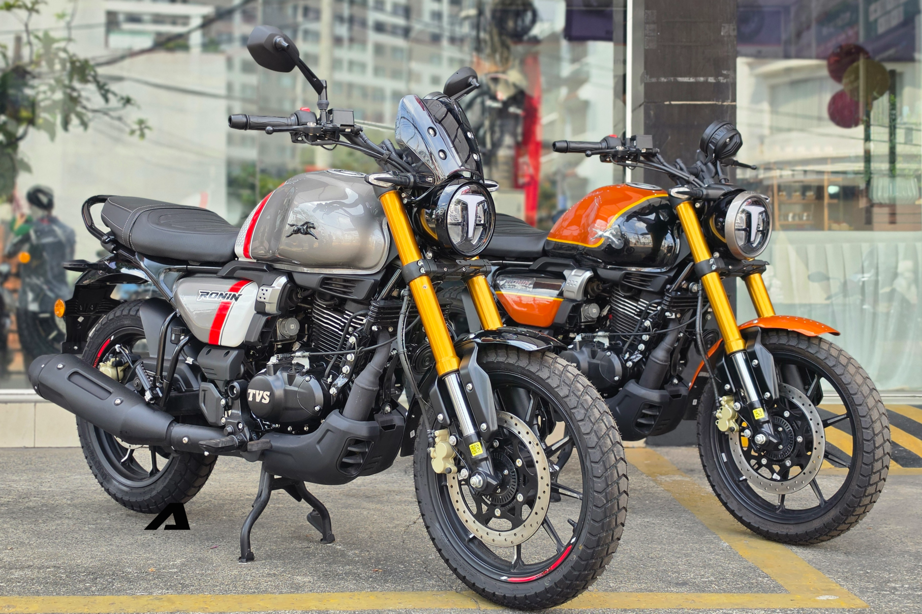 tvs ronin 225 12