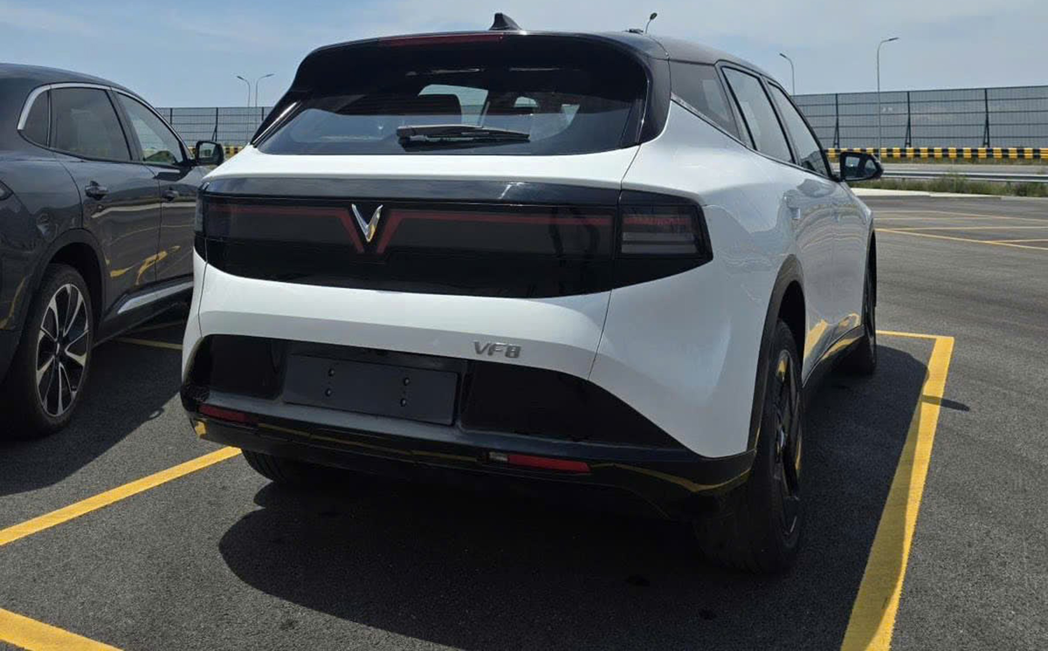 vf8 2