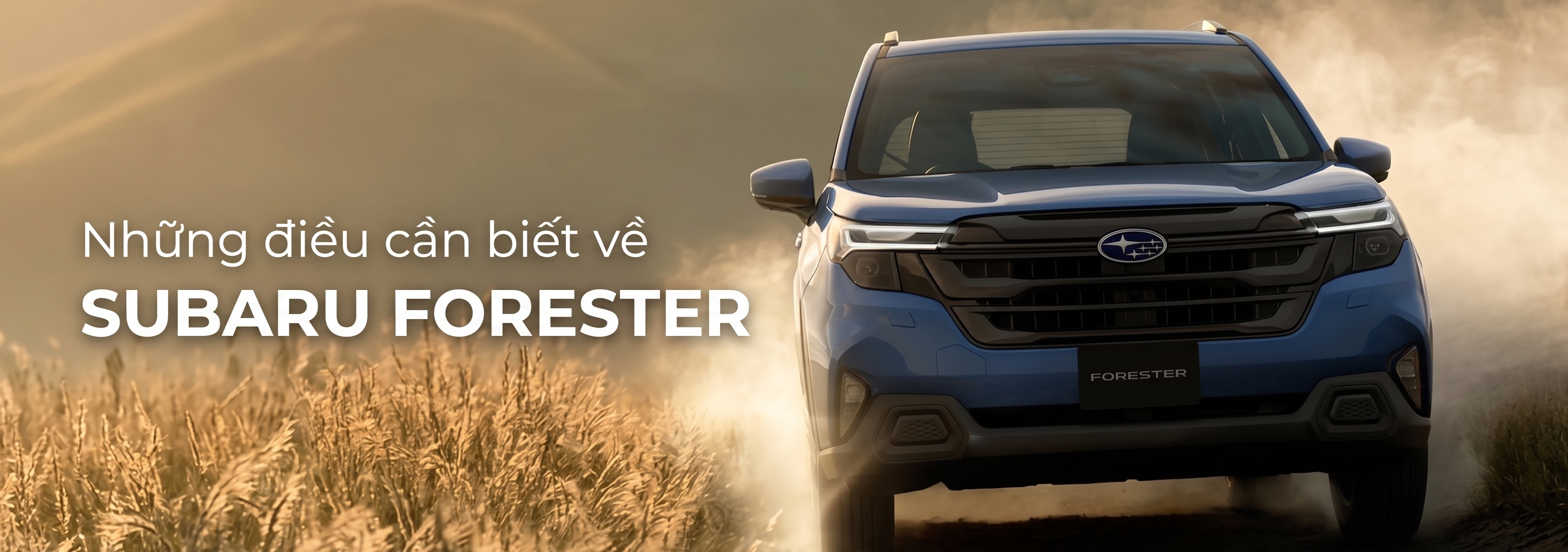 banner subaru forester