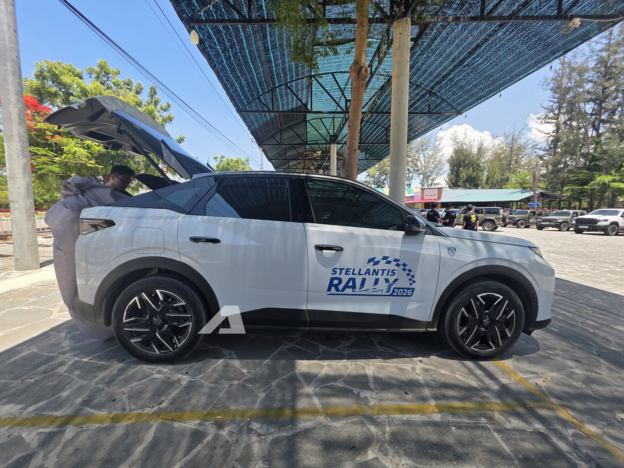 peugeot 3008113013